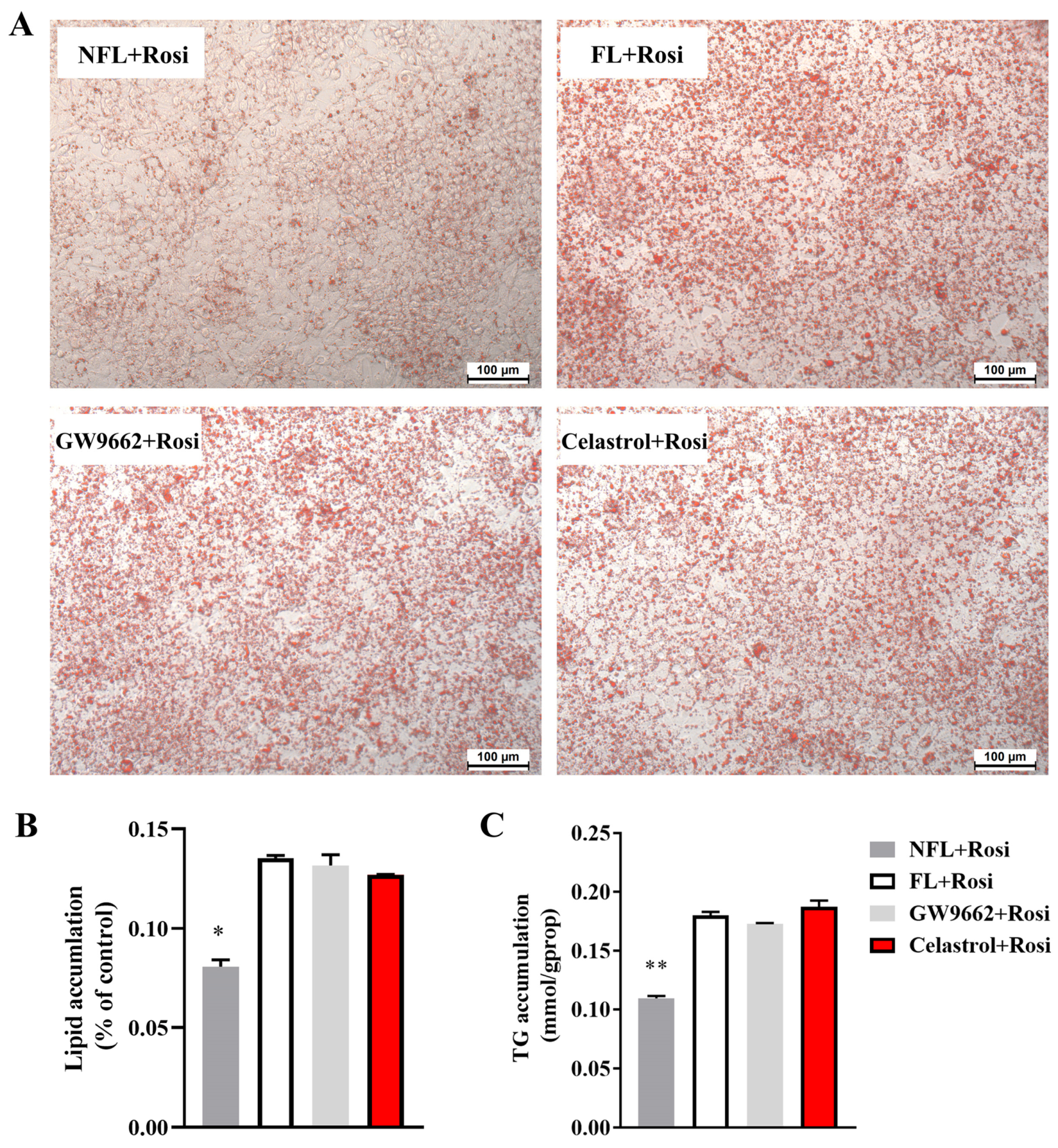 Metabolites 14 00064 g003