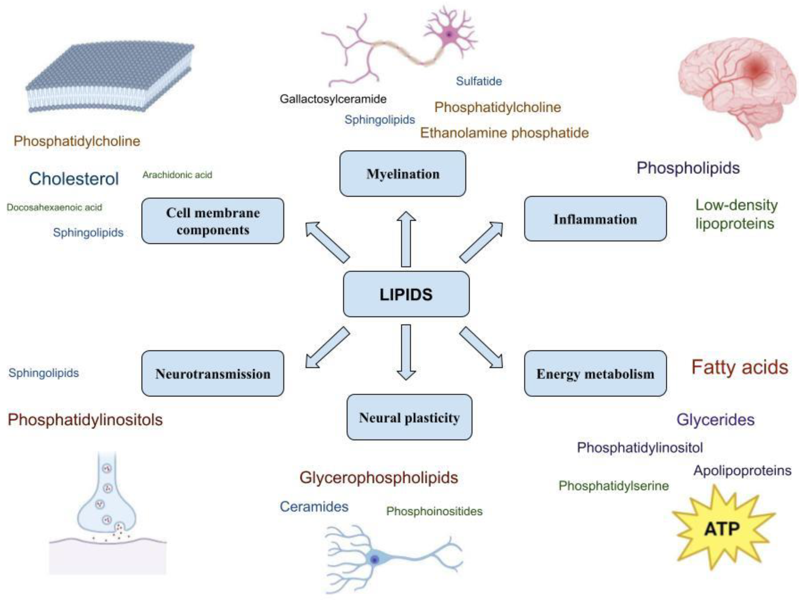 Metabolites 14 00080 g002