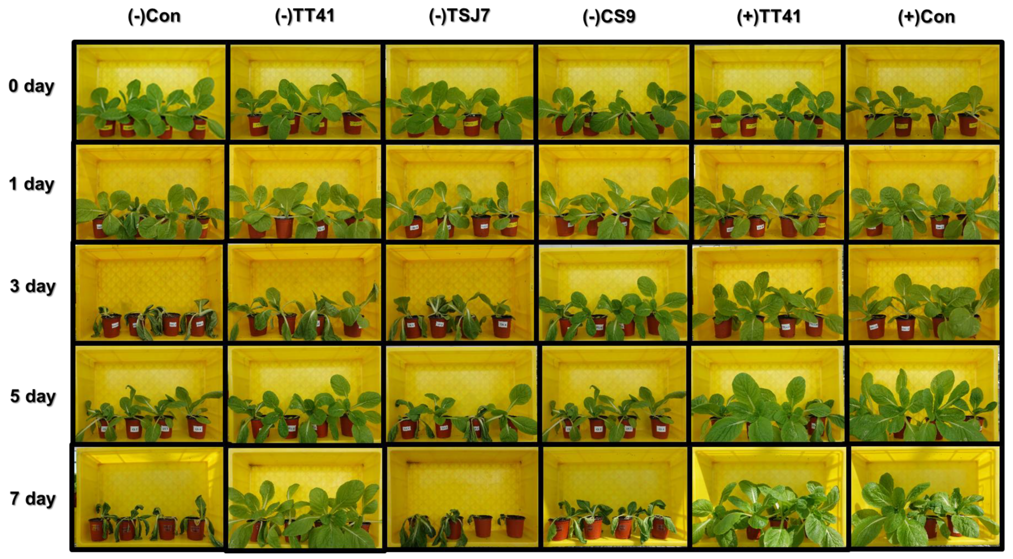Metabolites 14 00087 g002