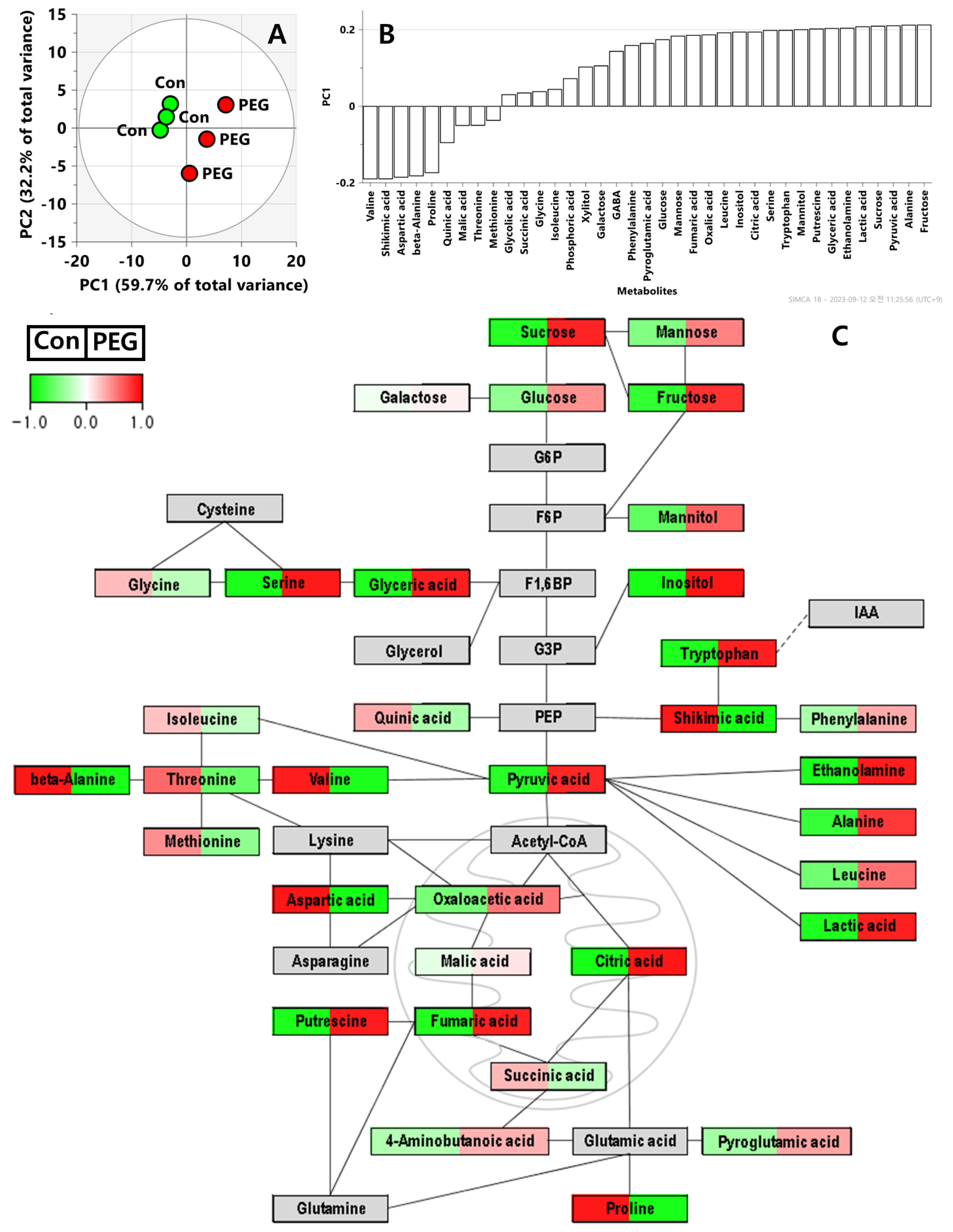Metabolites 14 00087 g005