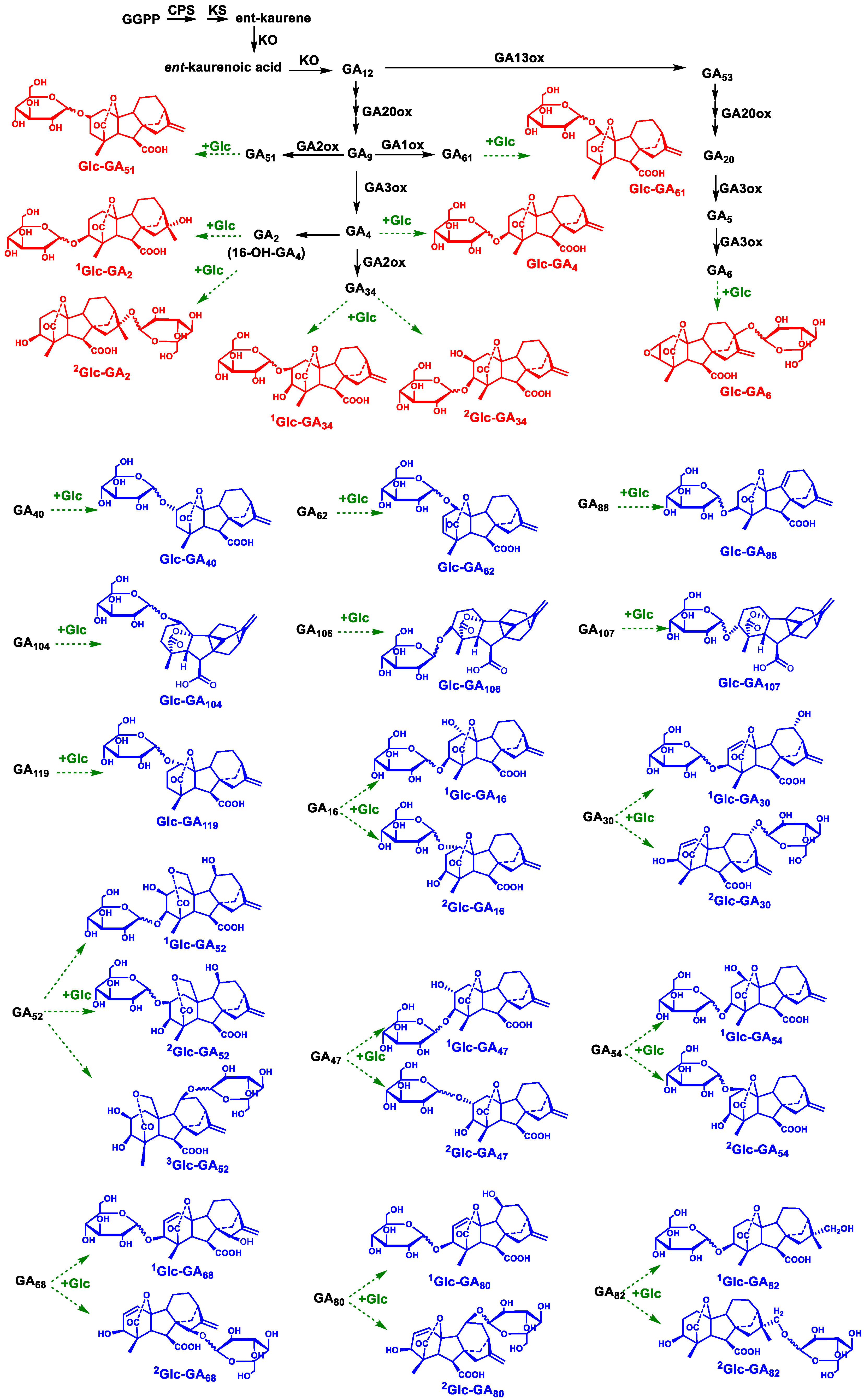 Metabolites 14 00096 g006