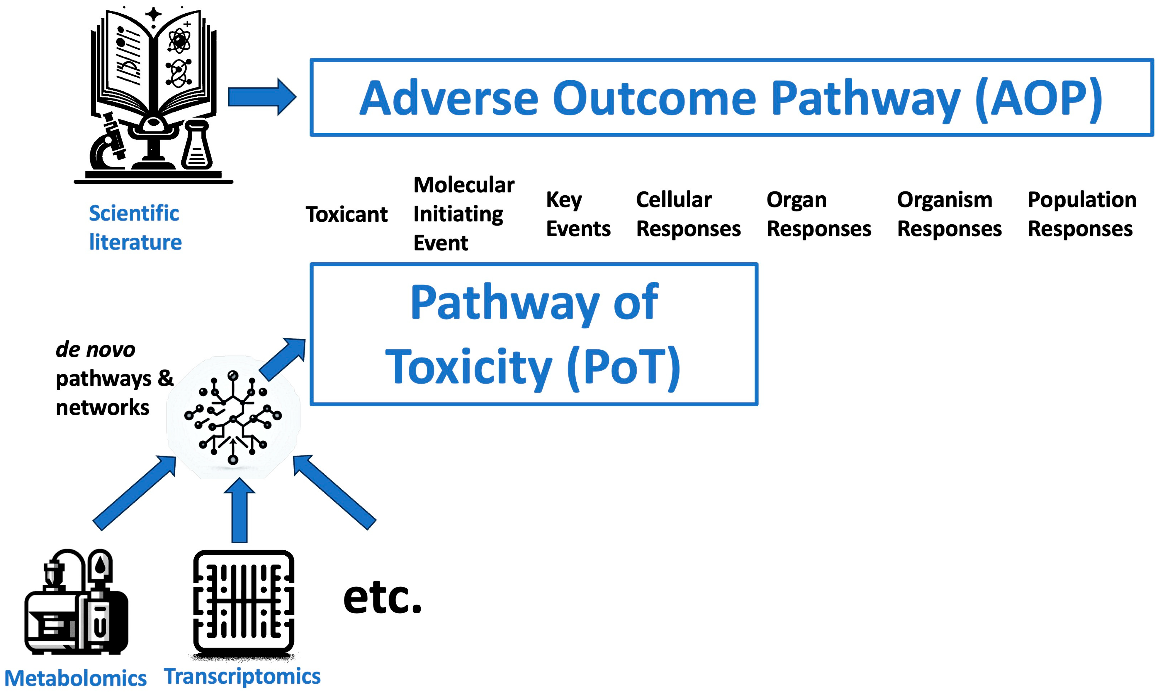 Metabolites 14 00098 g001