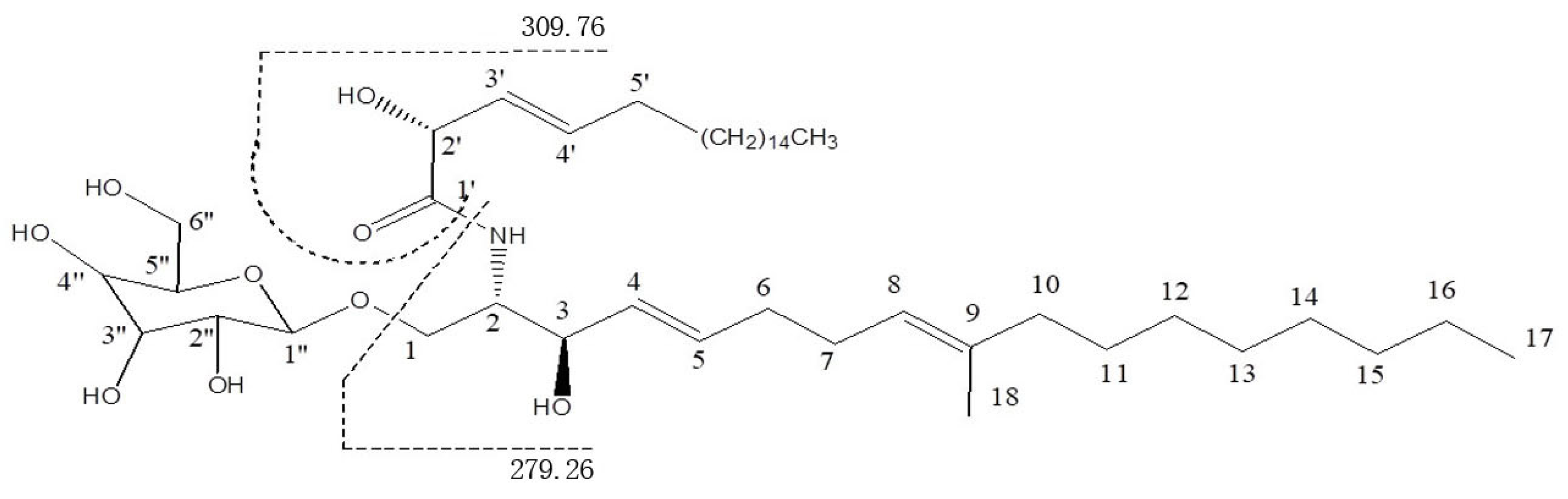 Metabolites 14 00099 g001
