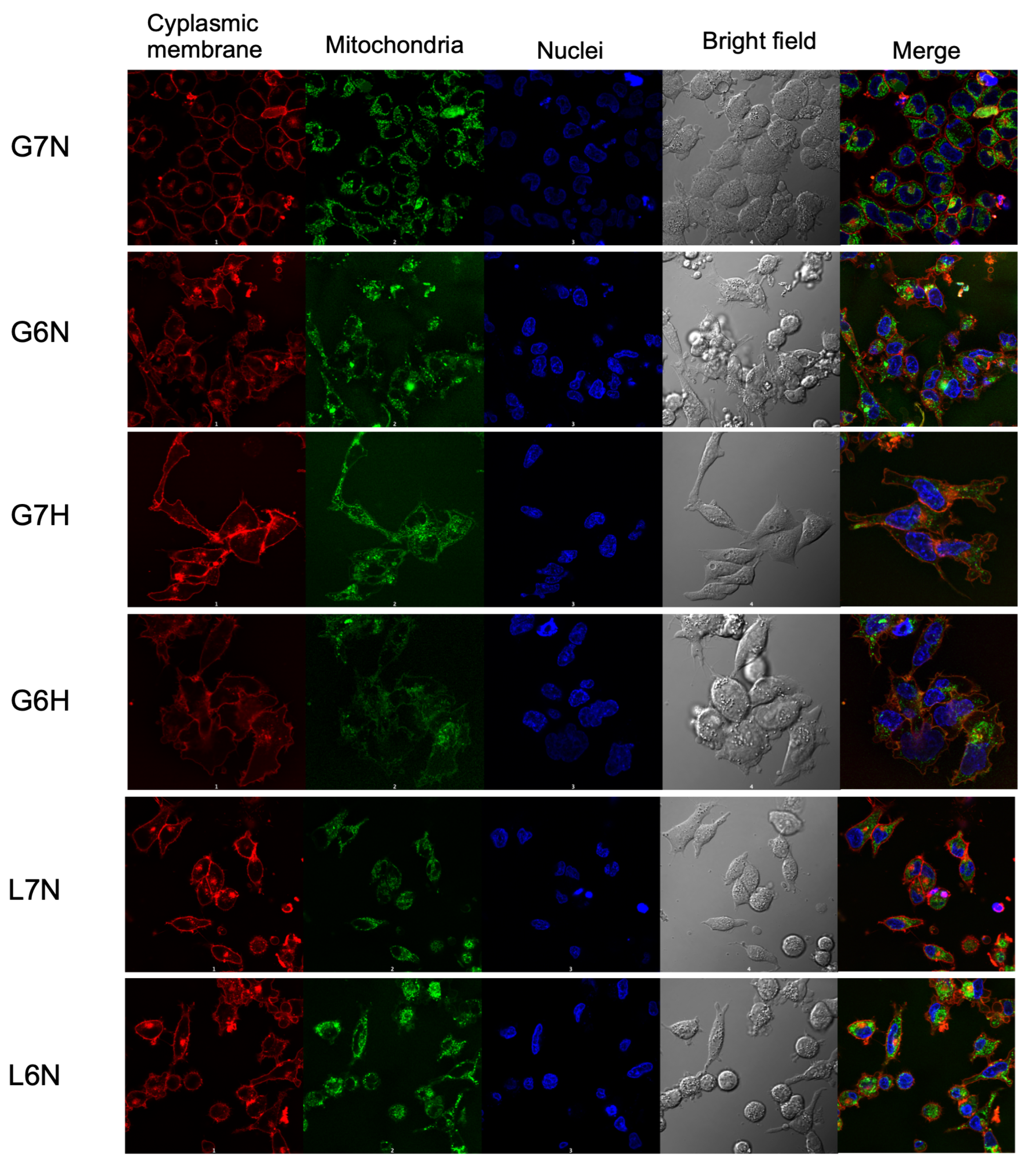 Metabolites 14 00103 g001
