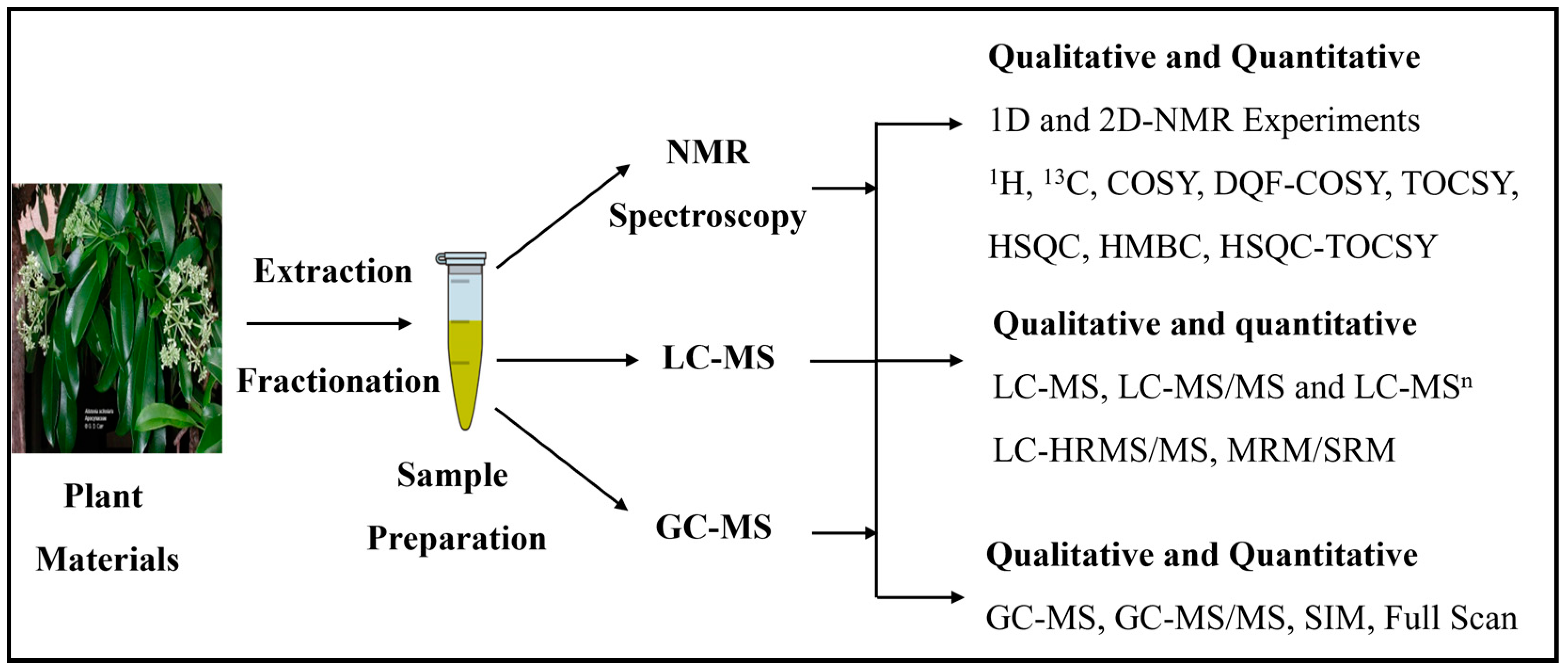 Metabolites 14 00119 g002