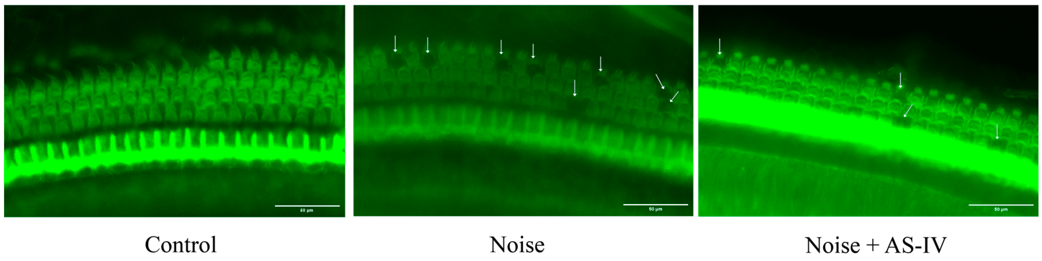Metabolites 14 00122 g001