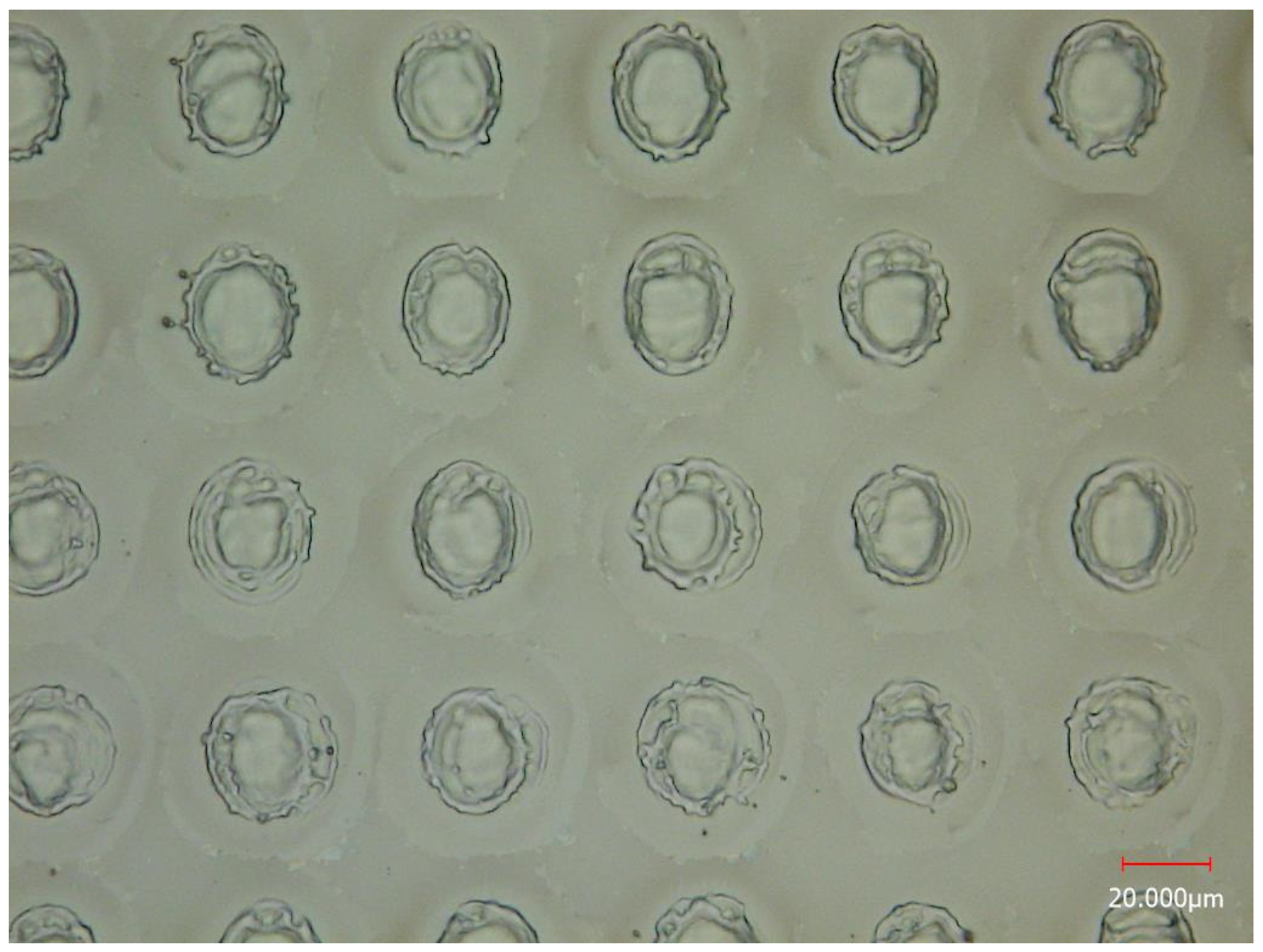 Metabolites 14 00131 g003 Metabolites 14 00131 g003