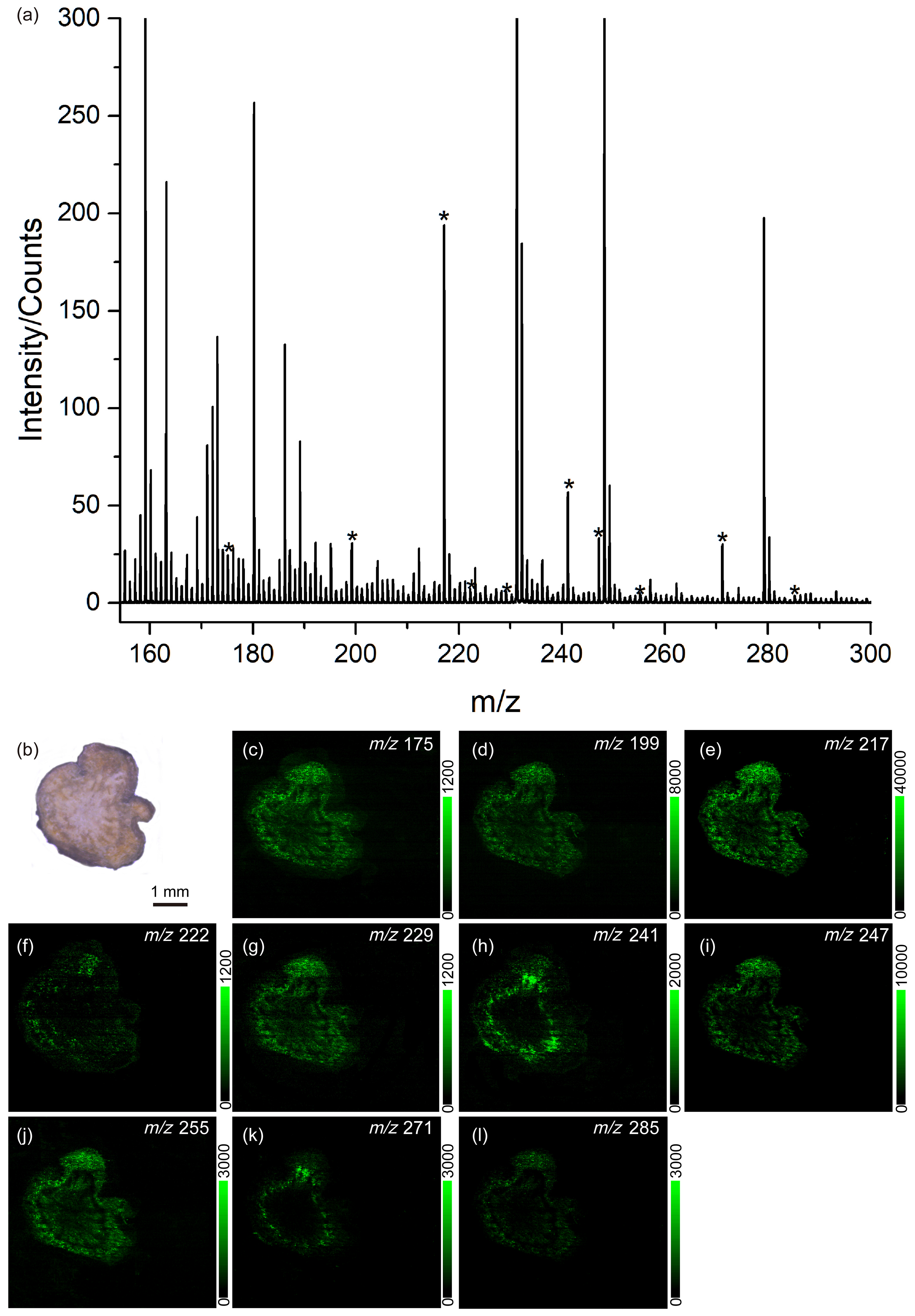 Metabolites 14 00131 g005 Metabolites 14 00131 g005