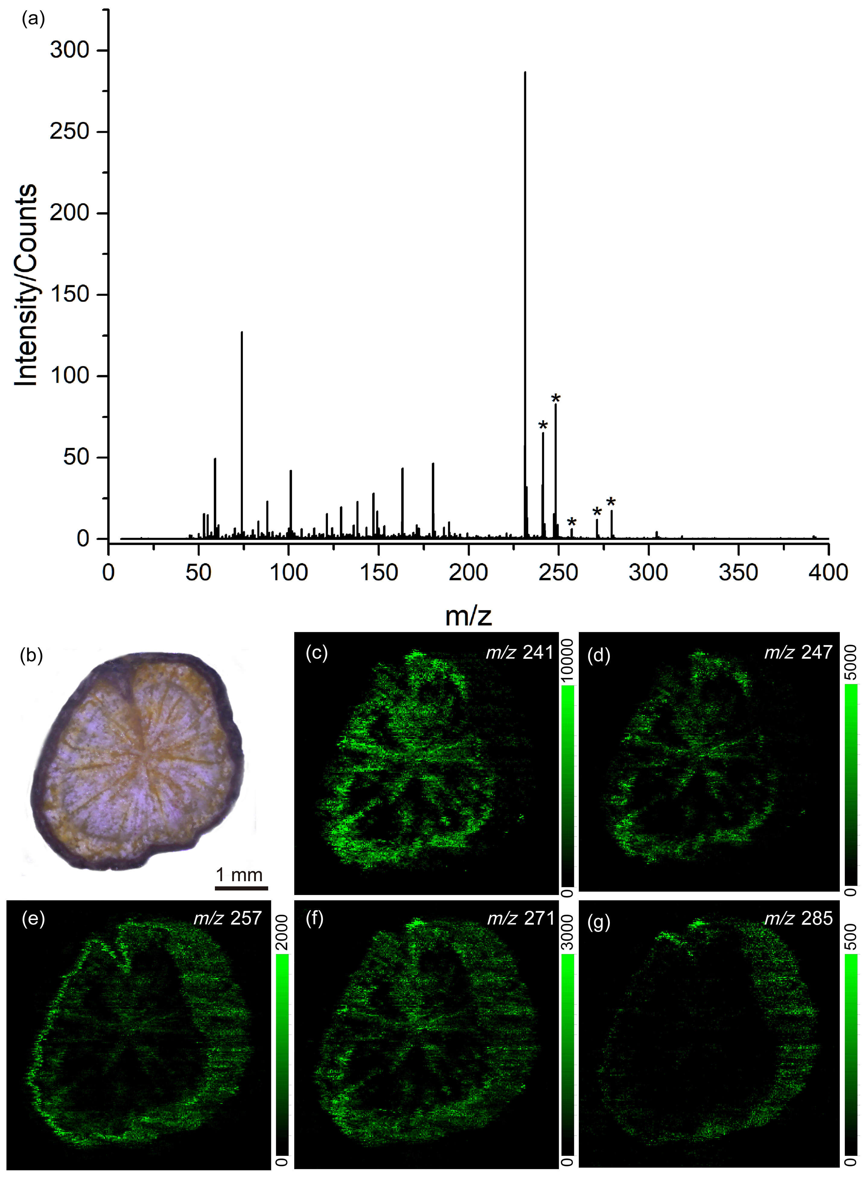 Metabolites 14 00131 g006 Metabolites 14 00131 g006