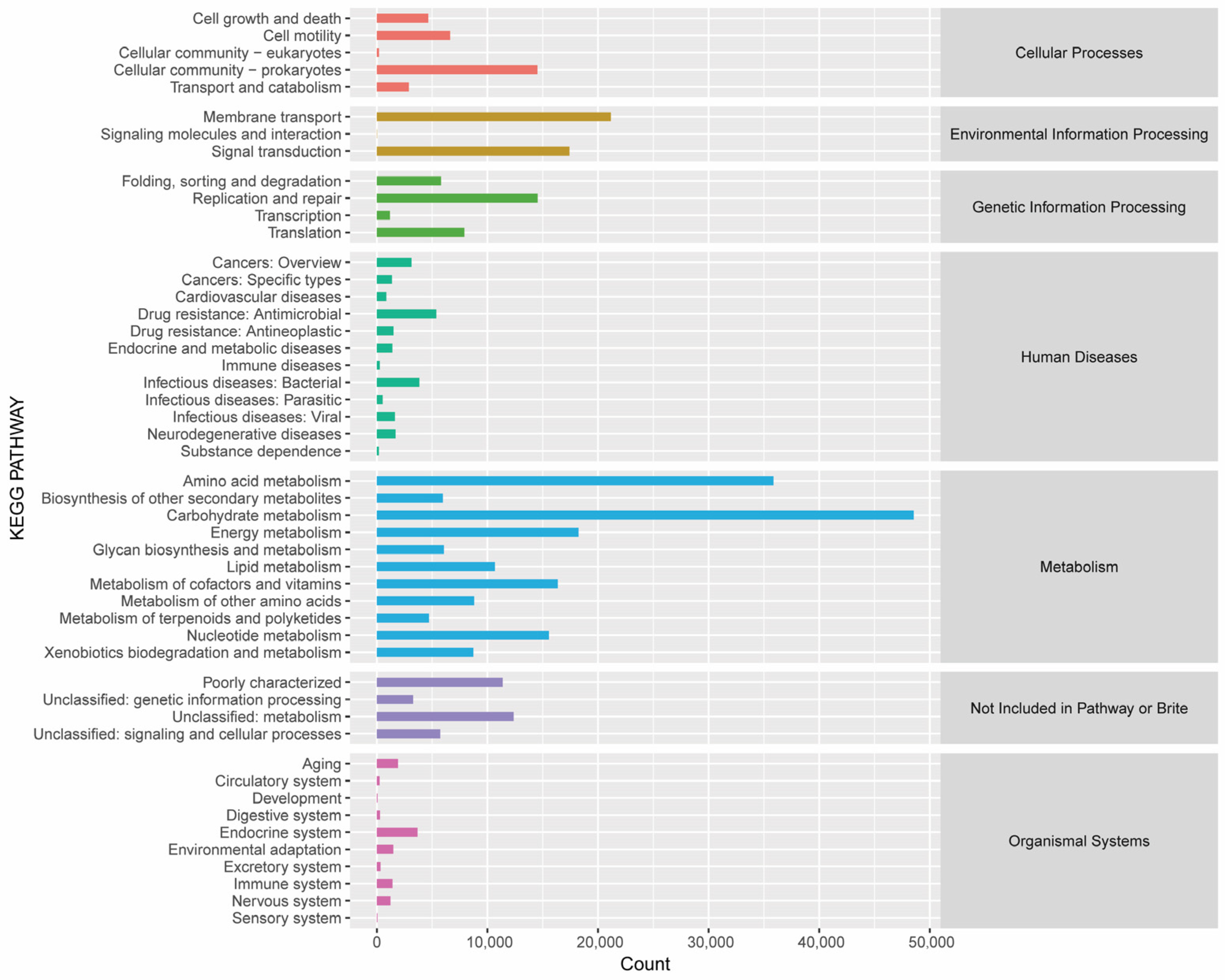 Metabolites 14 00158 g004