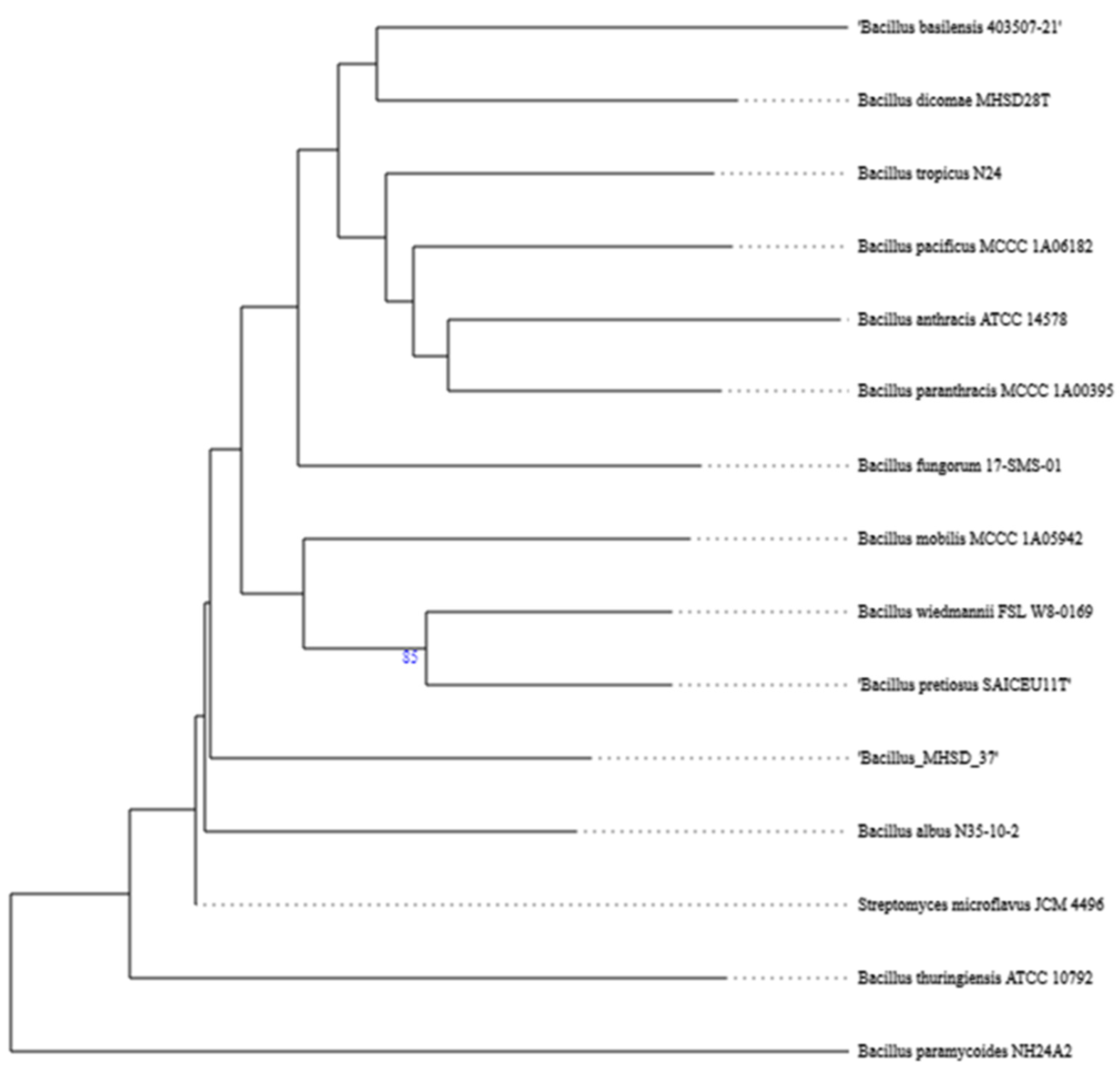 Metabolites 14 00163 g001