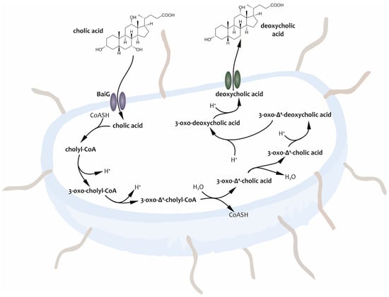 Metabolites 14 00178 g001