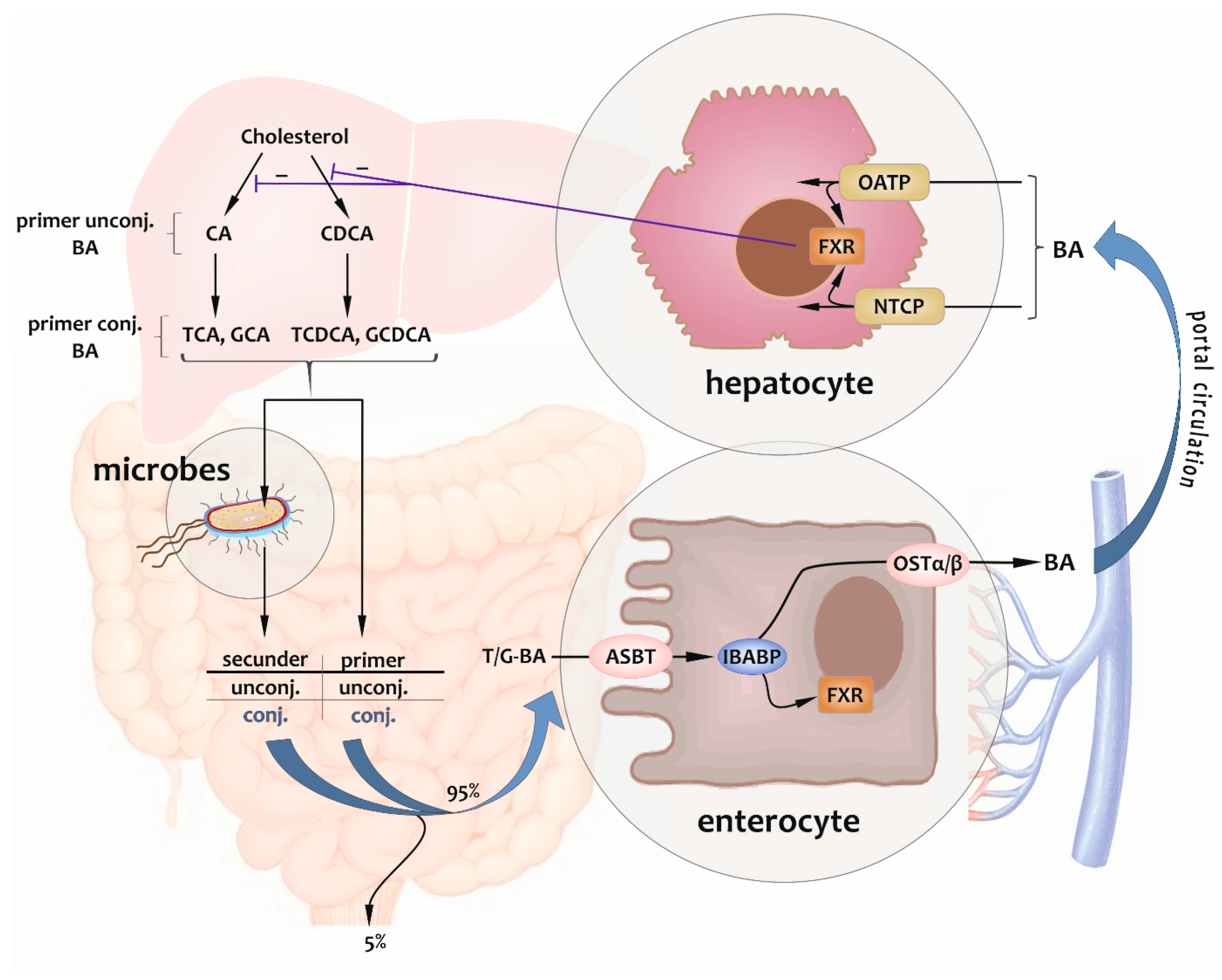 Metabolites 14 00178 g002