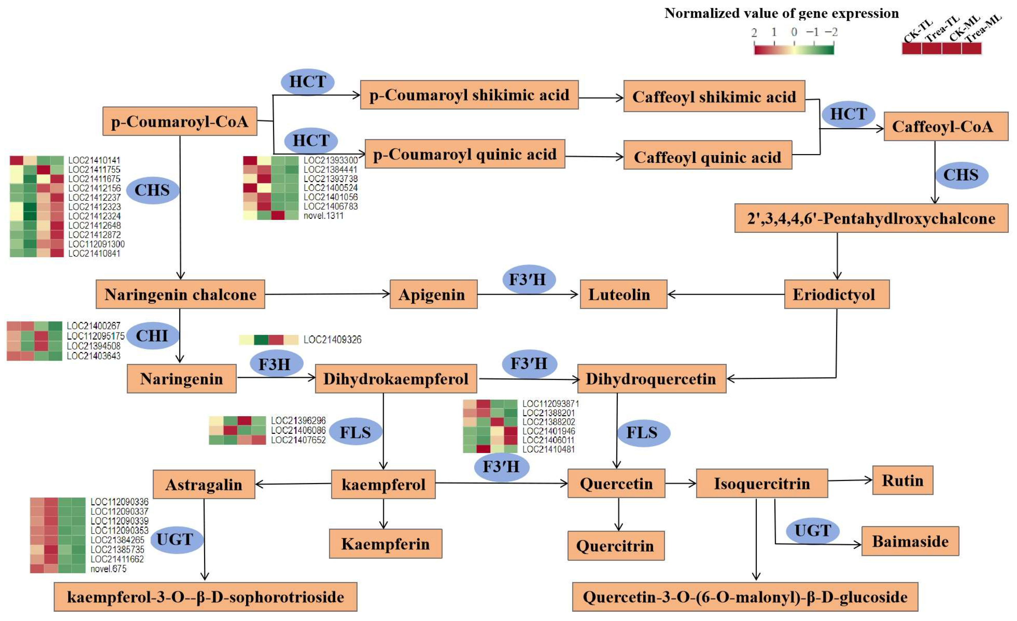 Metabolites 14 00180 g008