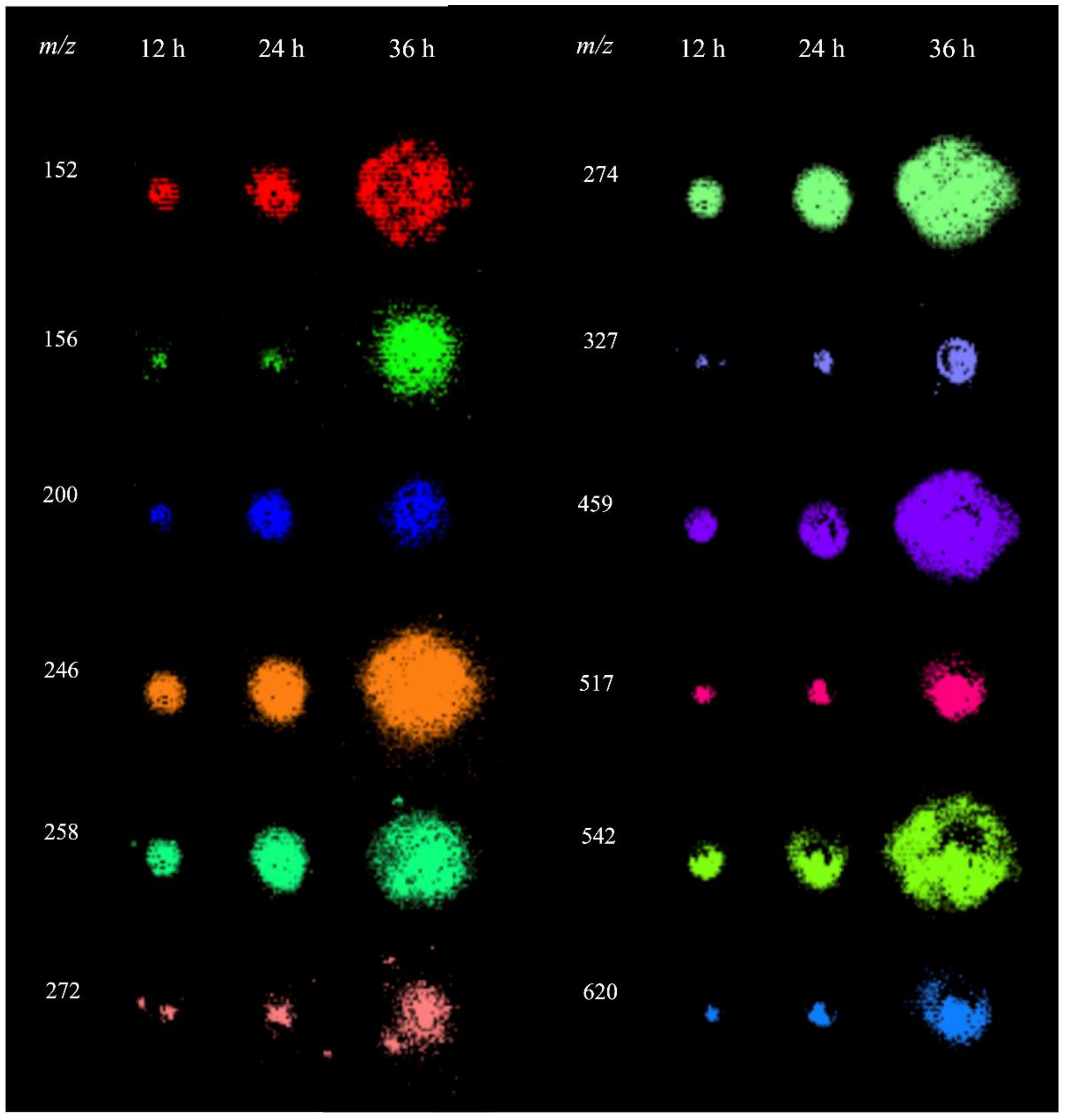 Metabolites 14 00206 g003