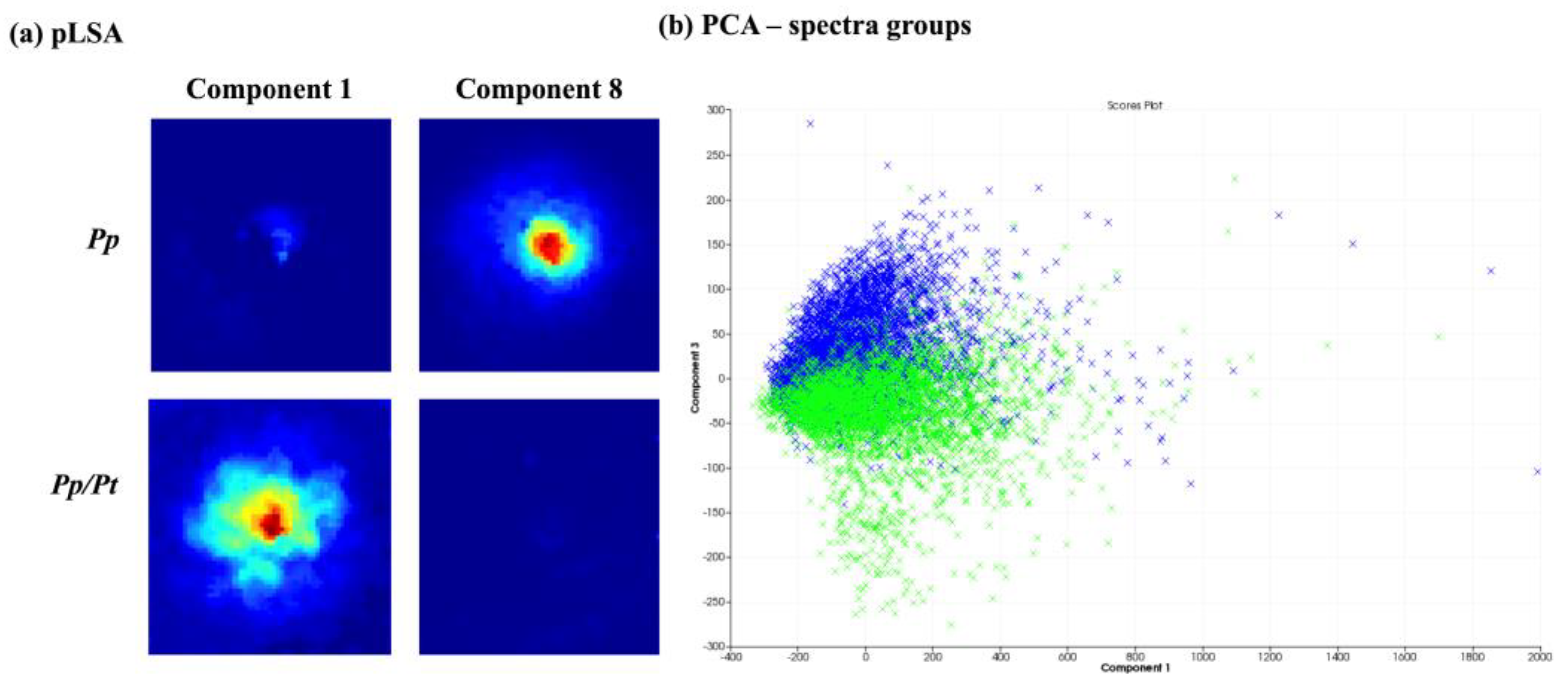 Metabolites 14 00206 g005