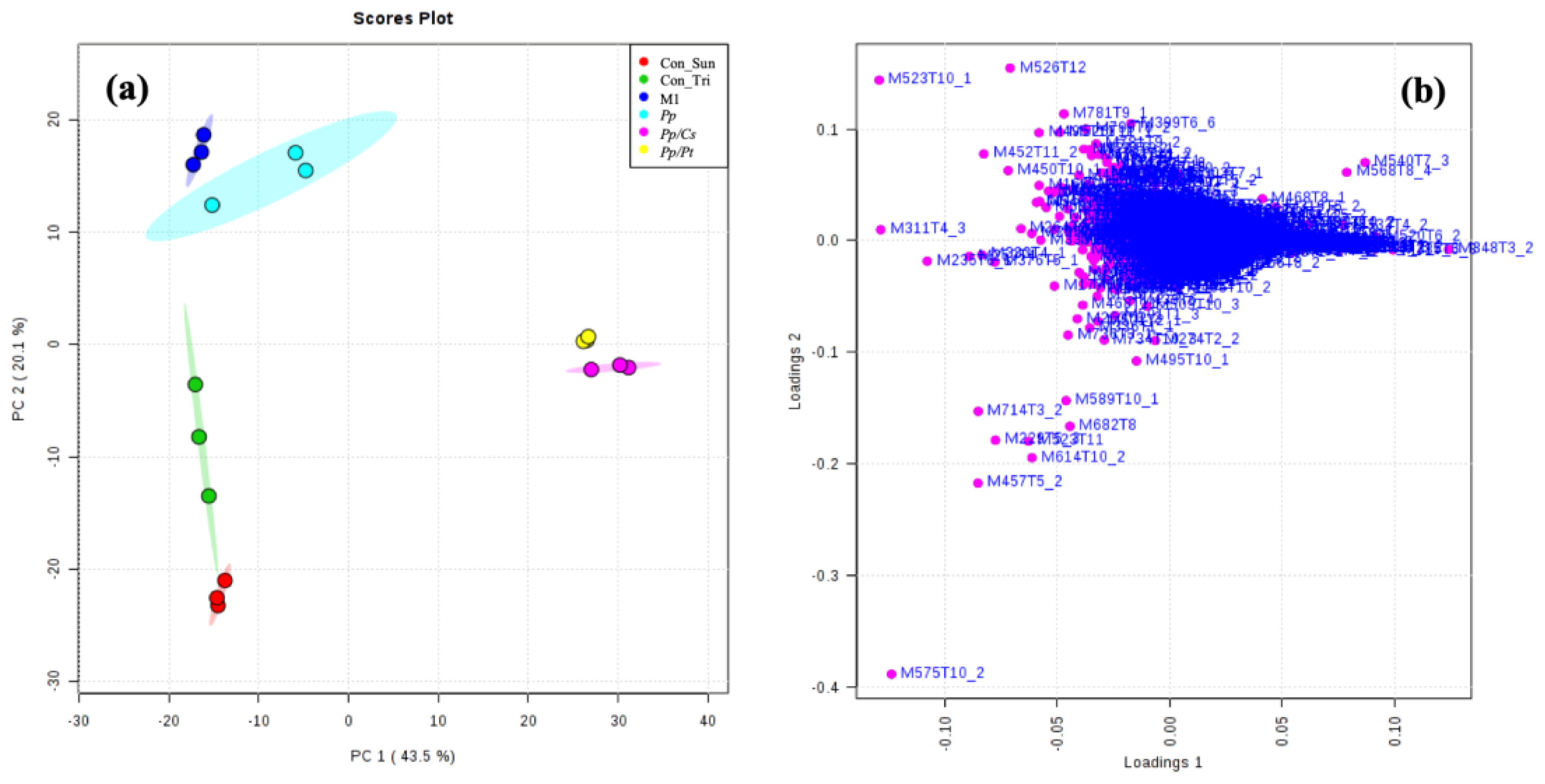 Metabolites 14 00206 g007