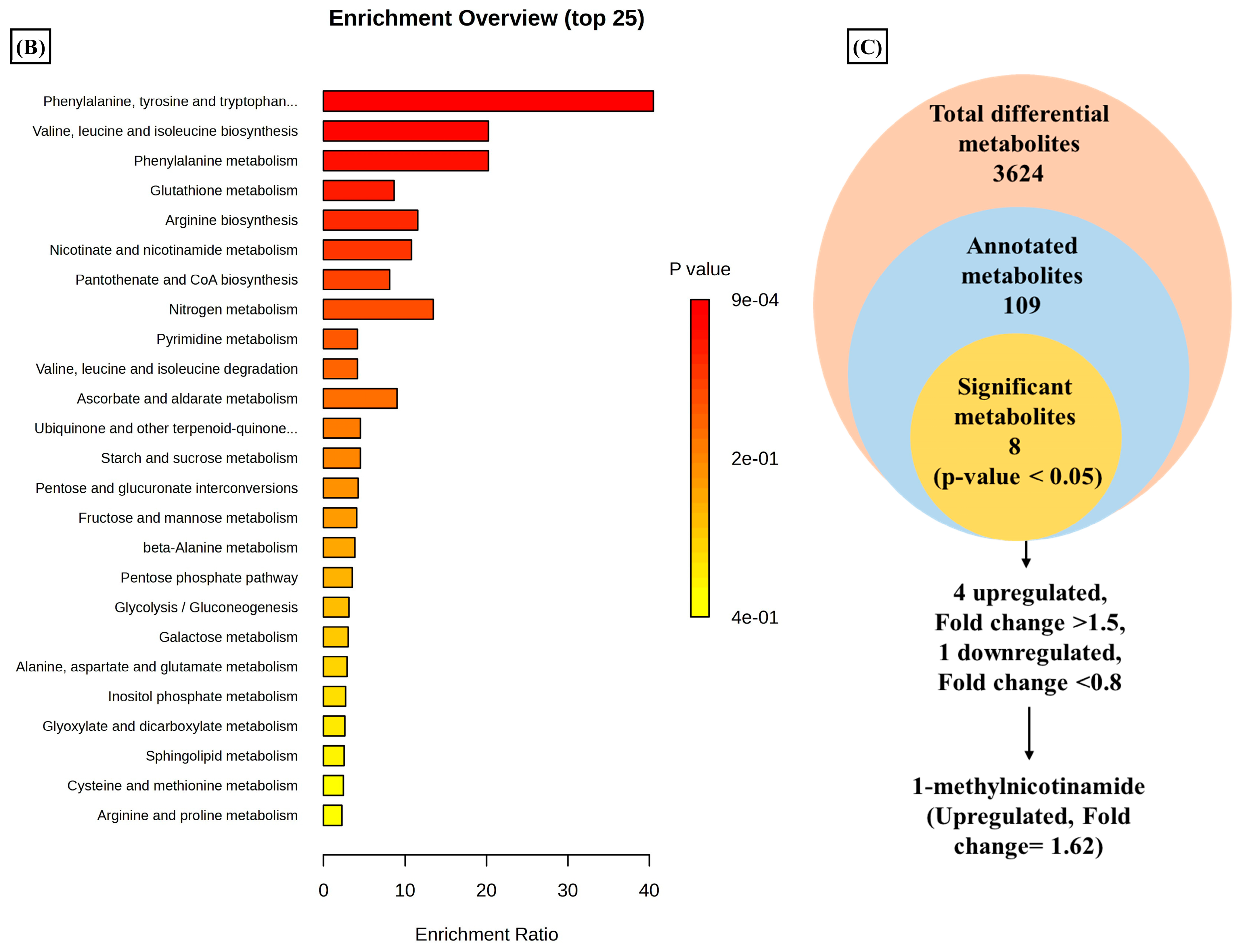 Metabolites 14 00214 g002b