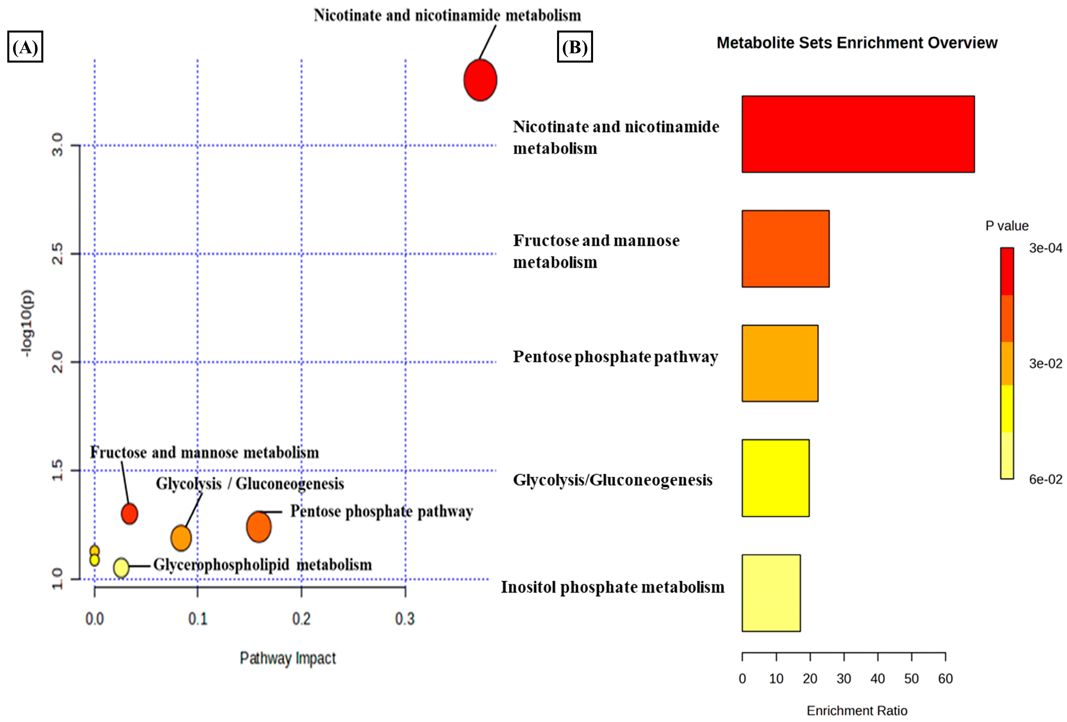 Metabolites 14 00214 g003a
