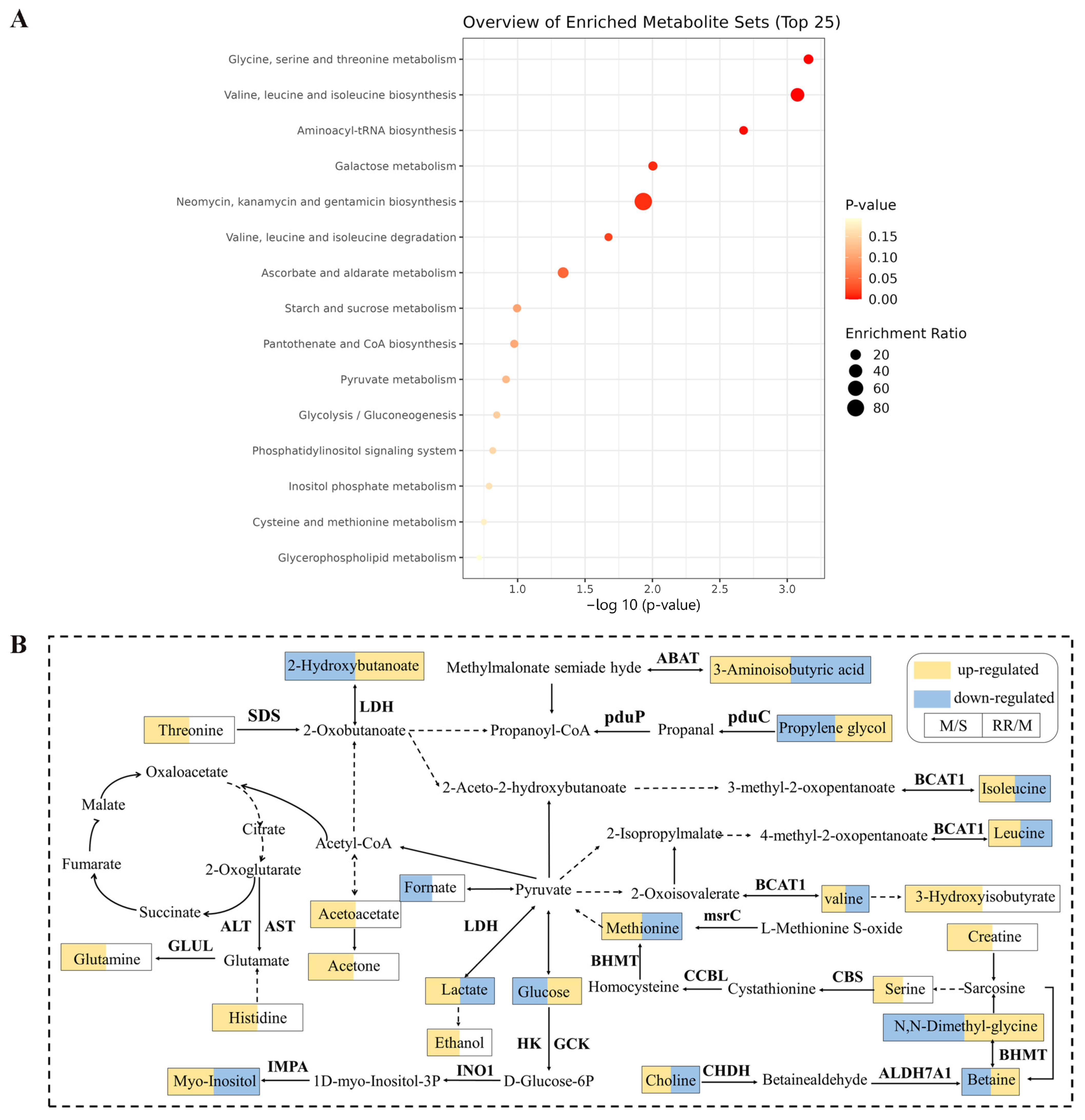 Metabolites 14 00216 g008