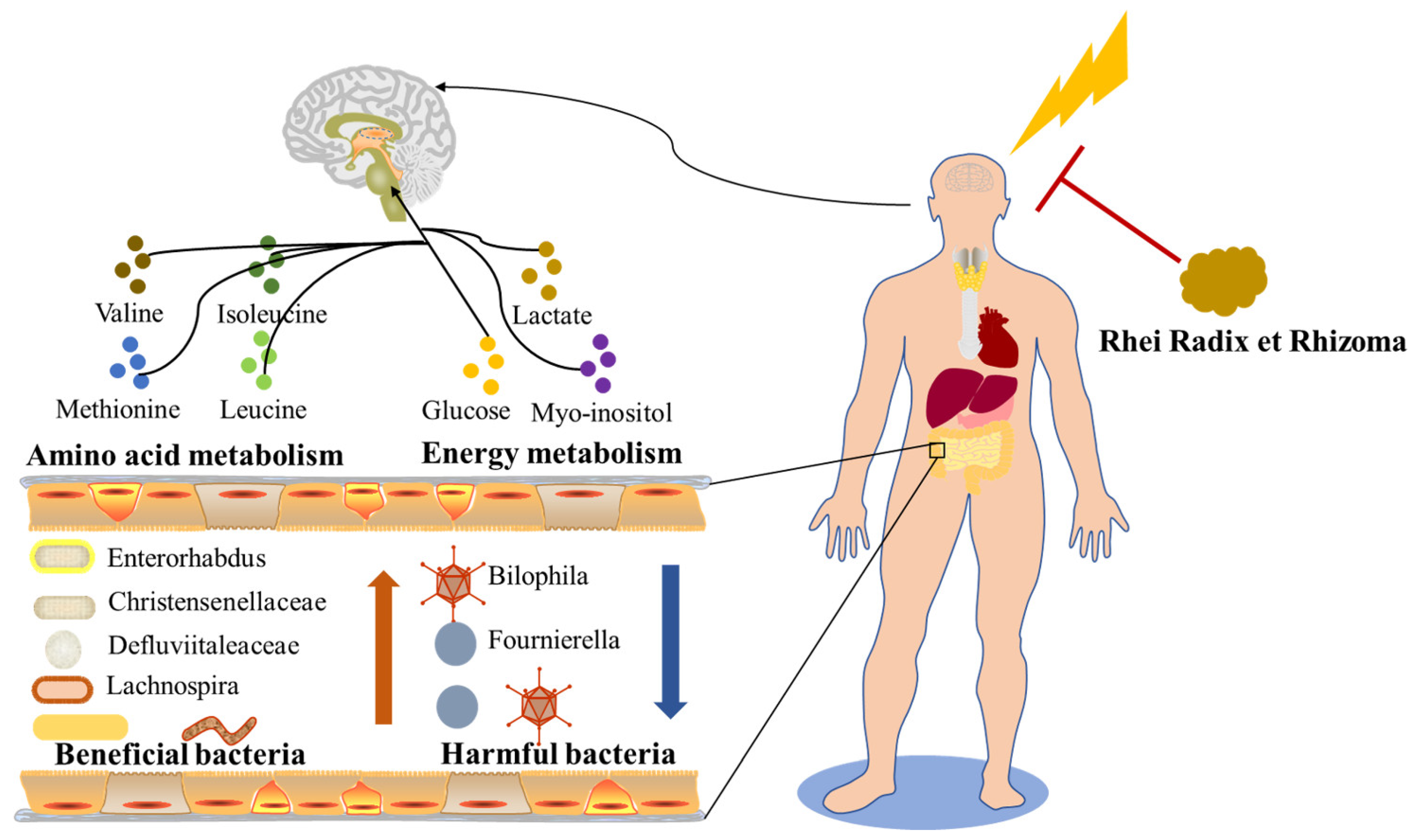 Metabolites 14 00216 g010