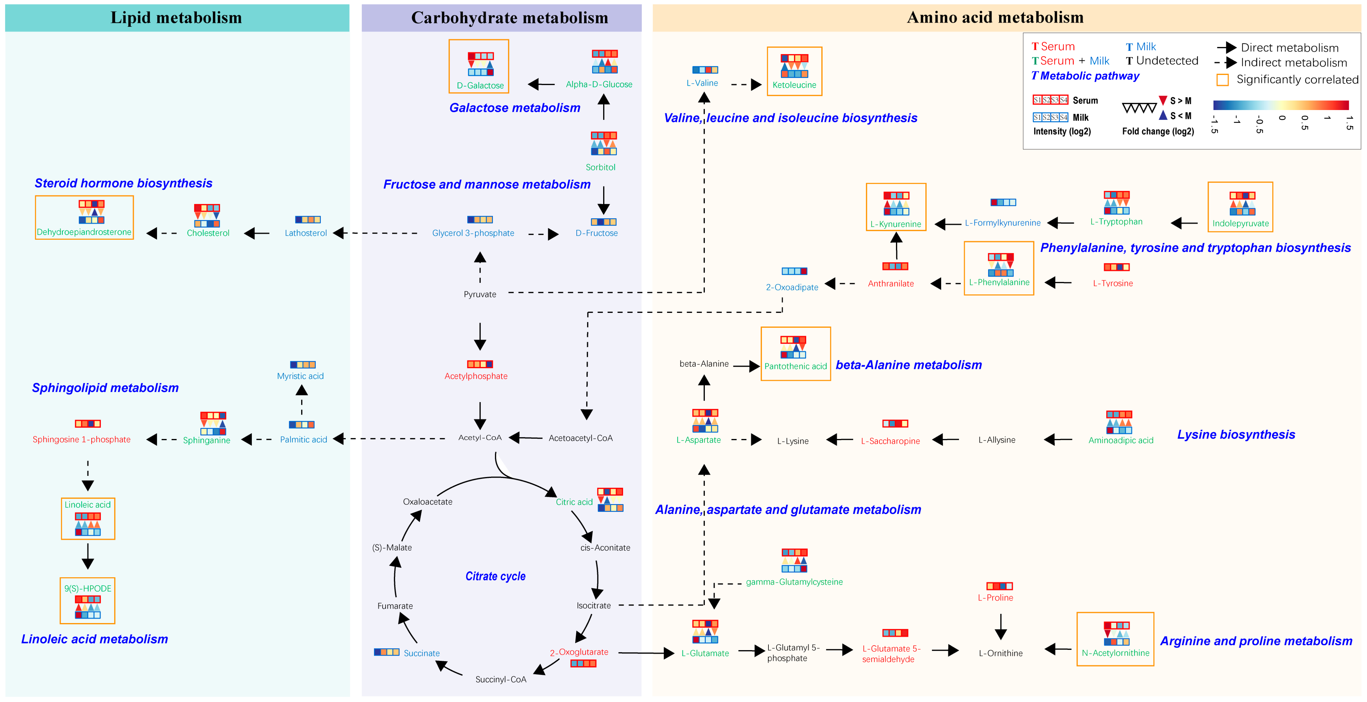 Metabolites 14 00227 g006