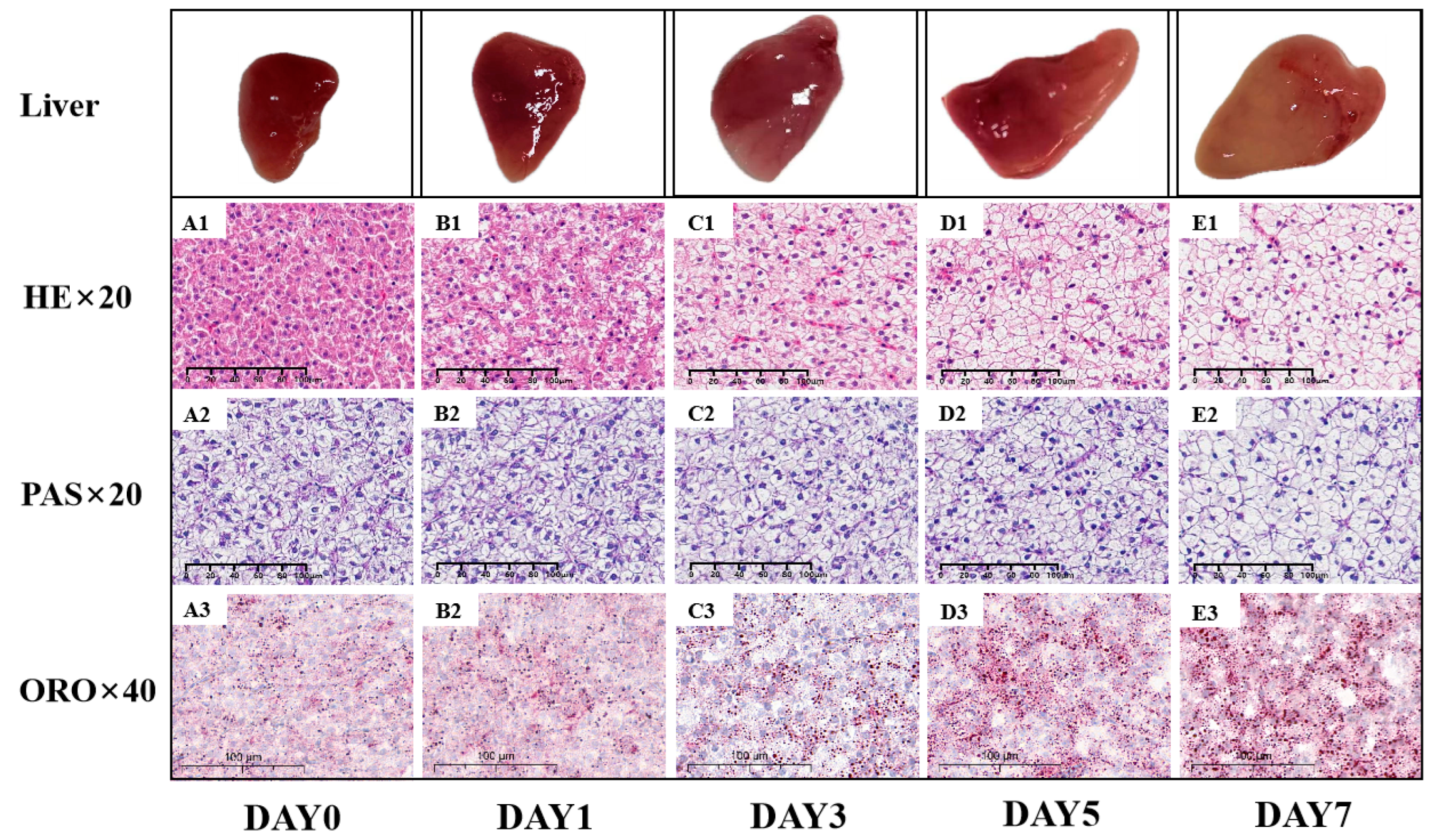 Metabolites 14 00236 g010