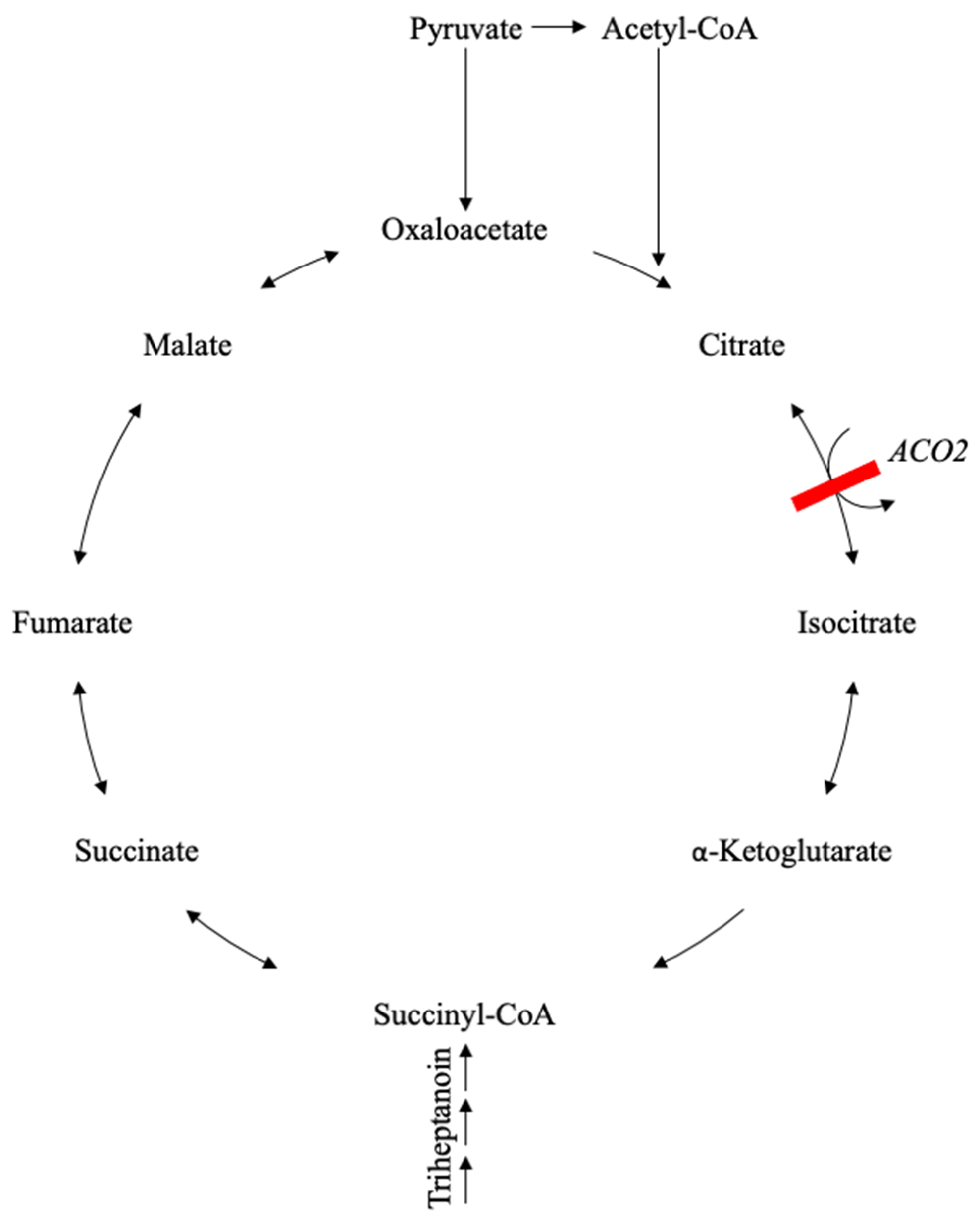 Metabolites 14 00238 g001