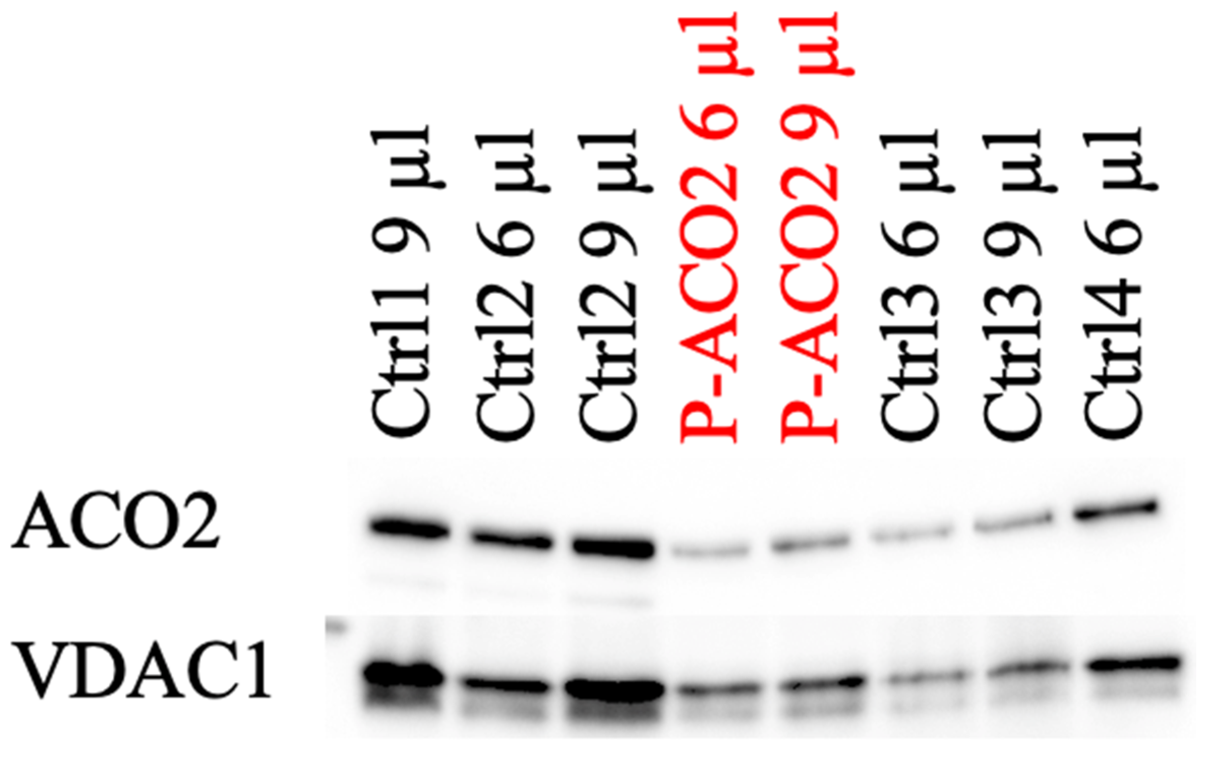 Metabolites 14 00238 g004