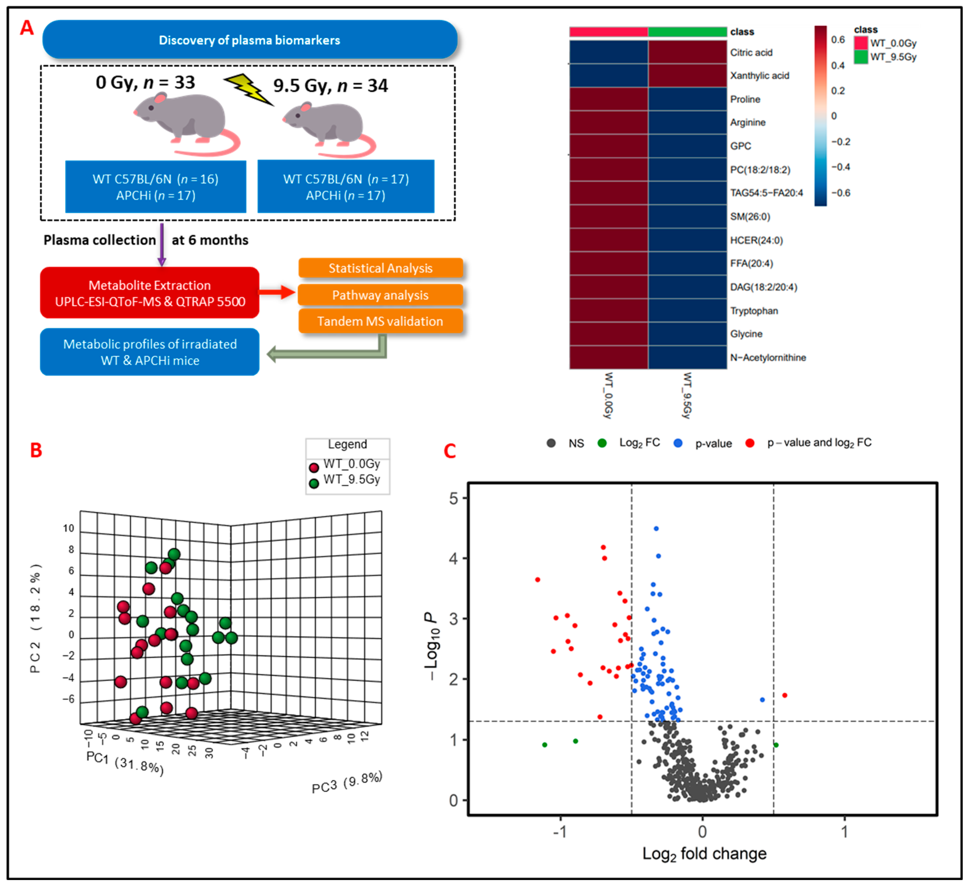 Metabolites 14 00245 g001