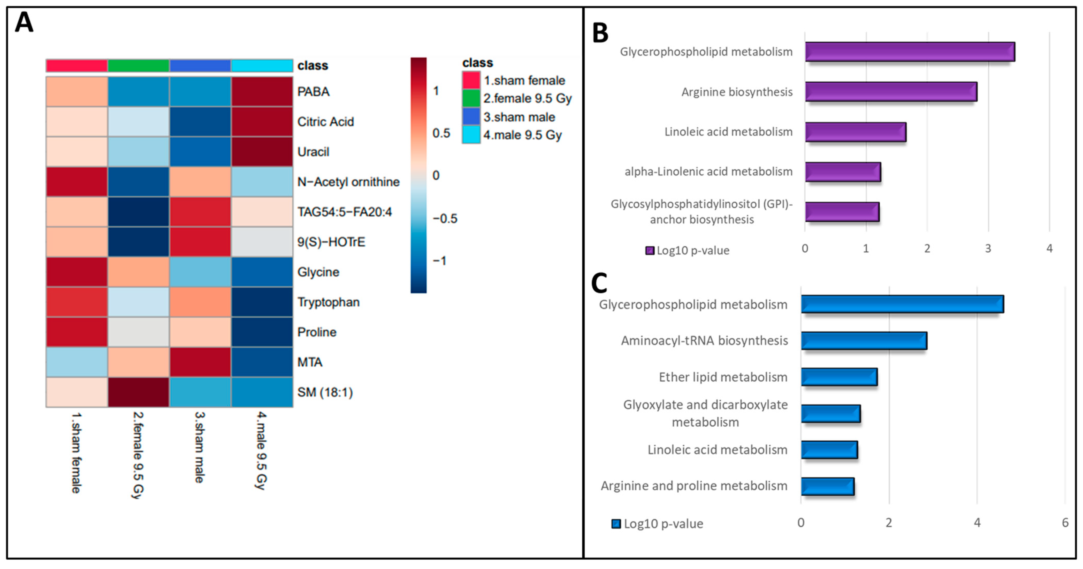 Metabolites 14 00245 g004
