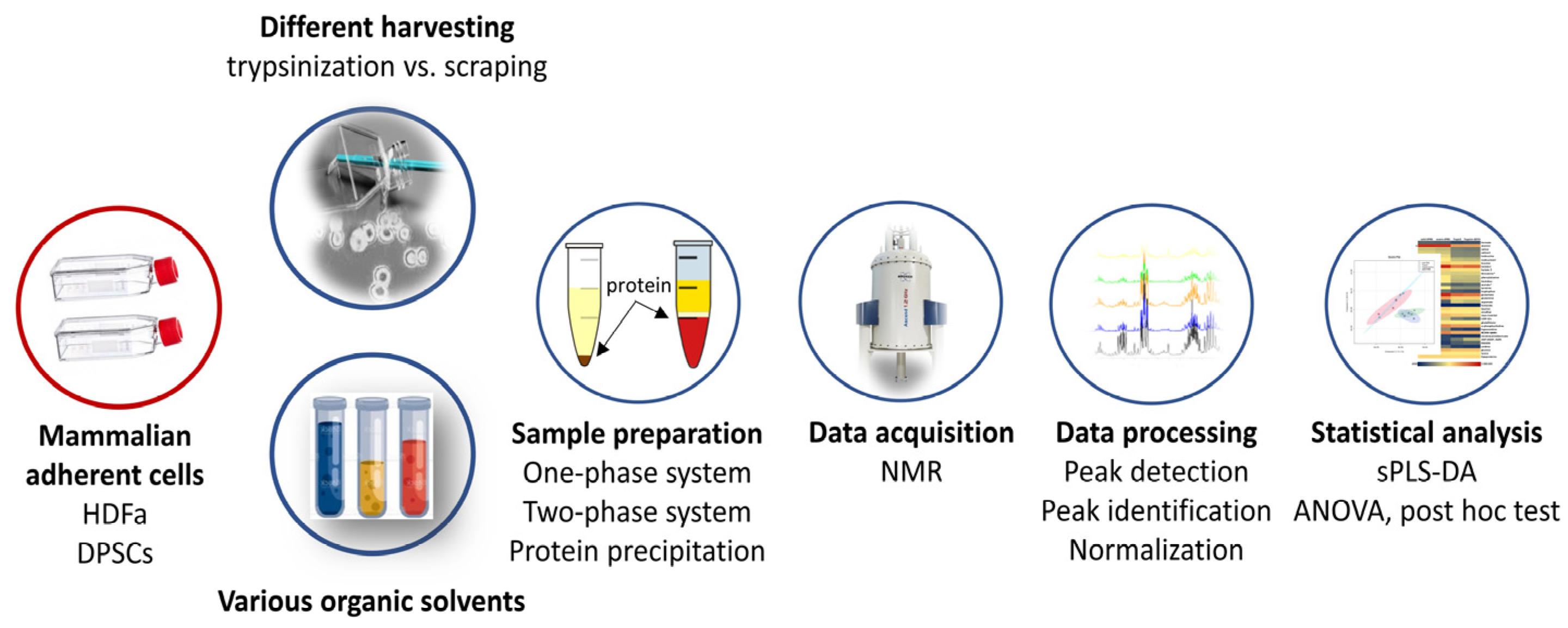 Metabolites 14 00268 g001