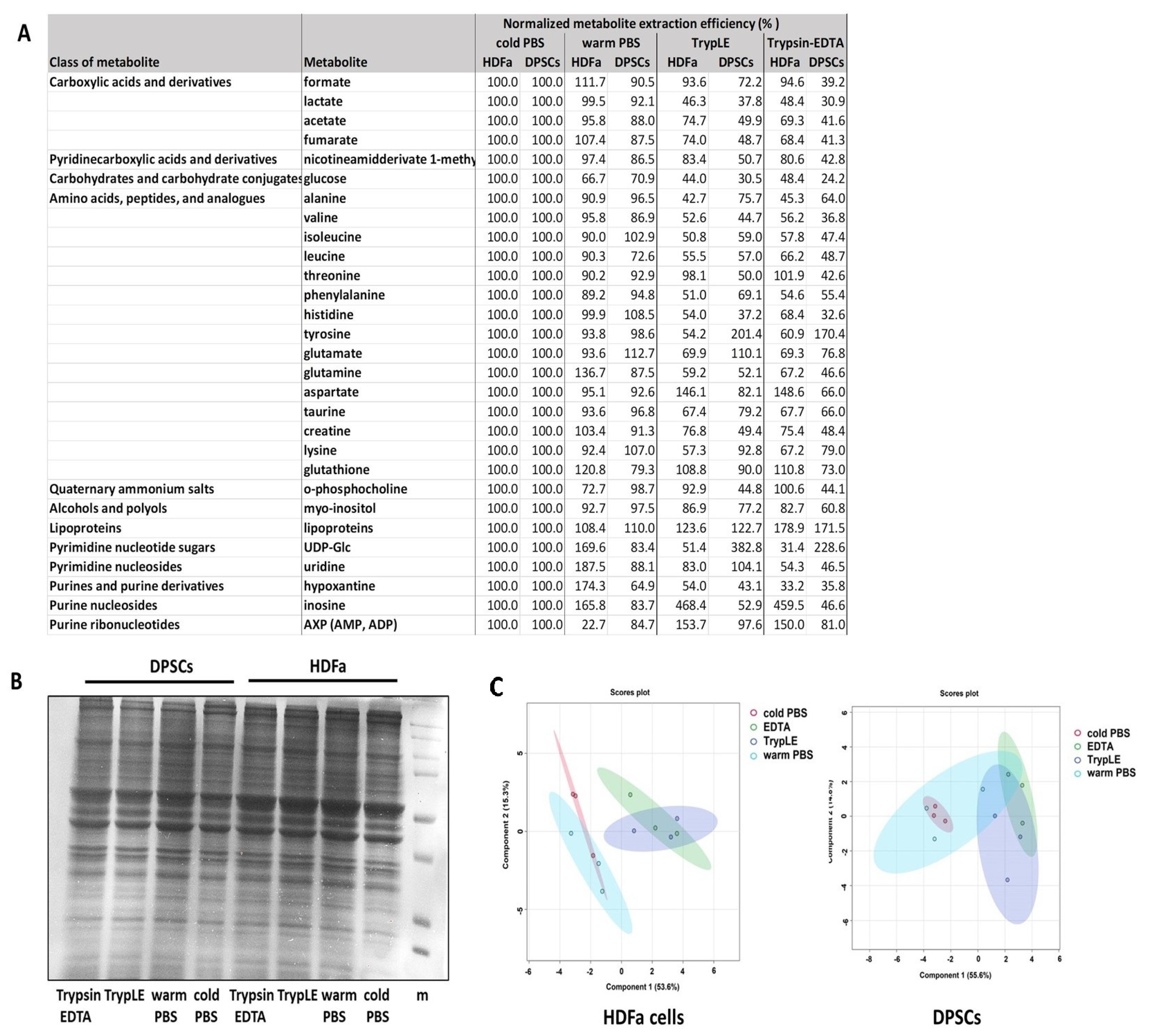 Metabolites 14 00268 g003