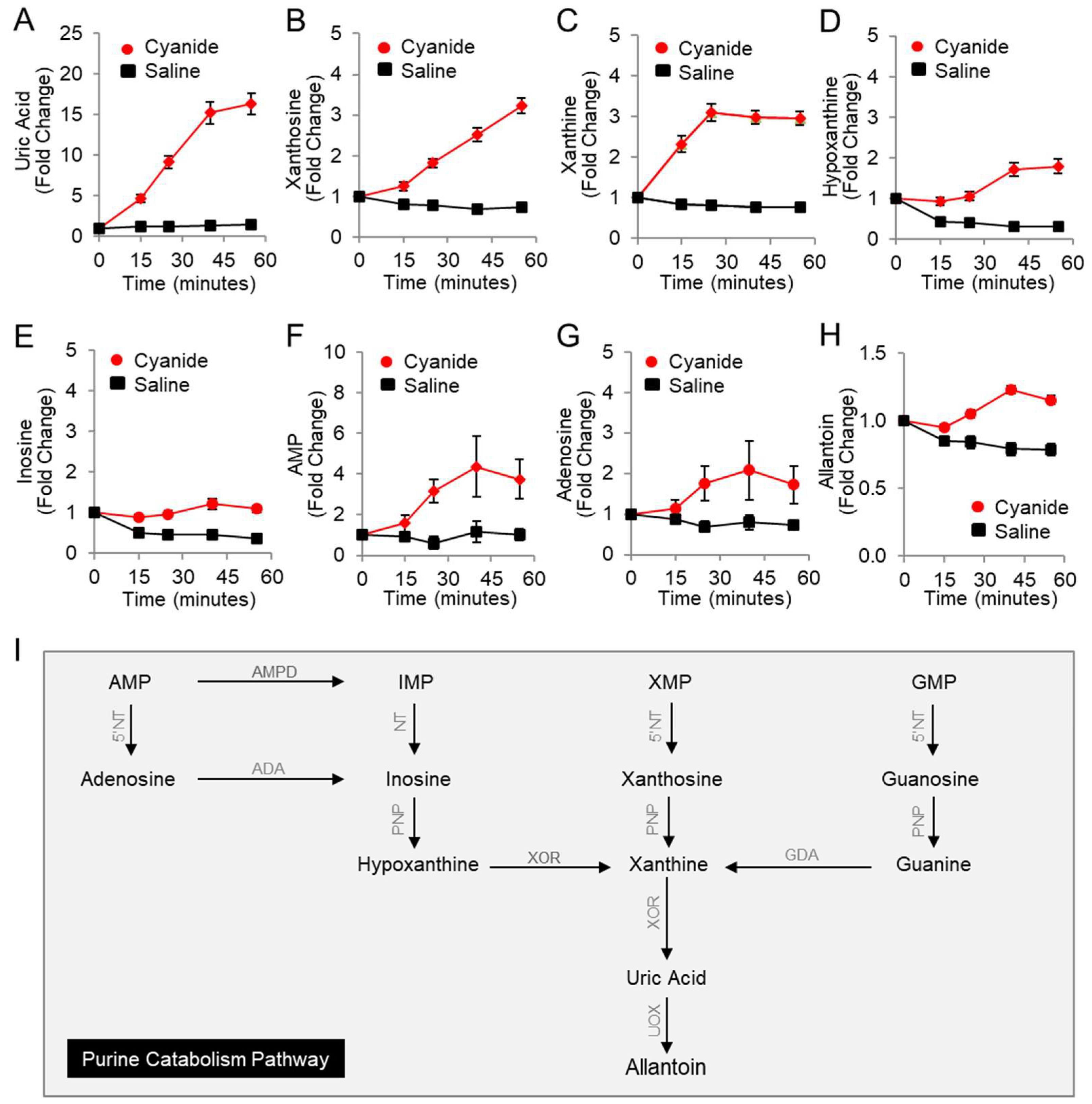 Metabolites 14 00279 g001
