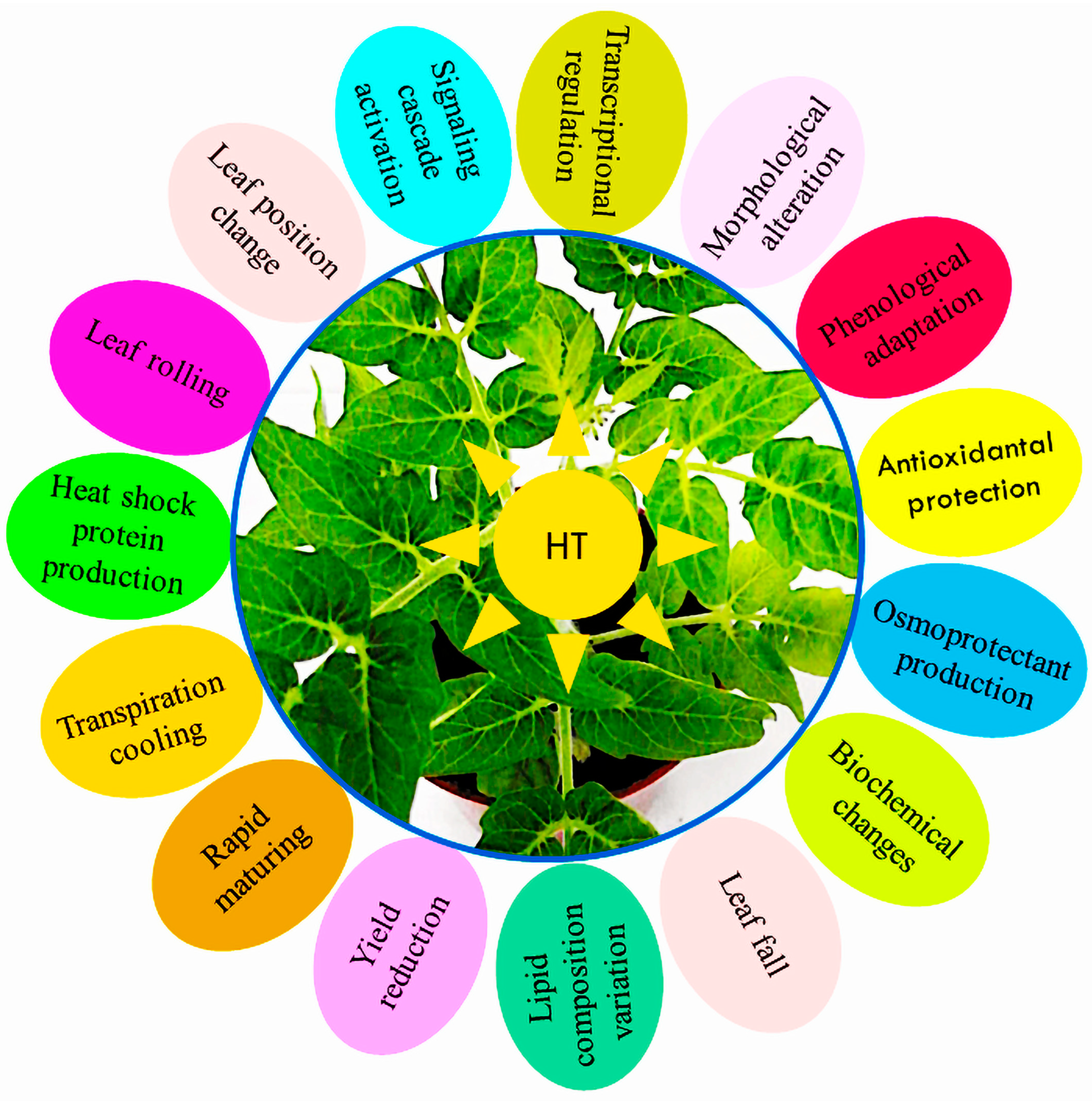 Metabolites 14 00283 g006 Metabolites 14 00283 g006