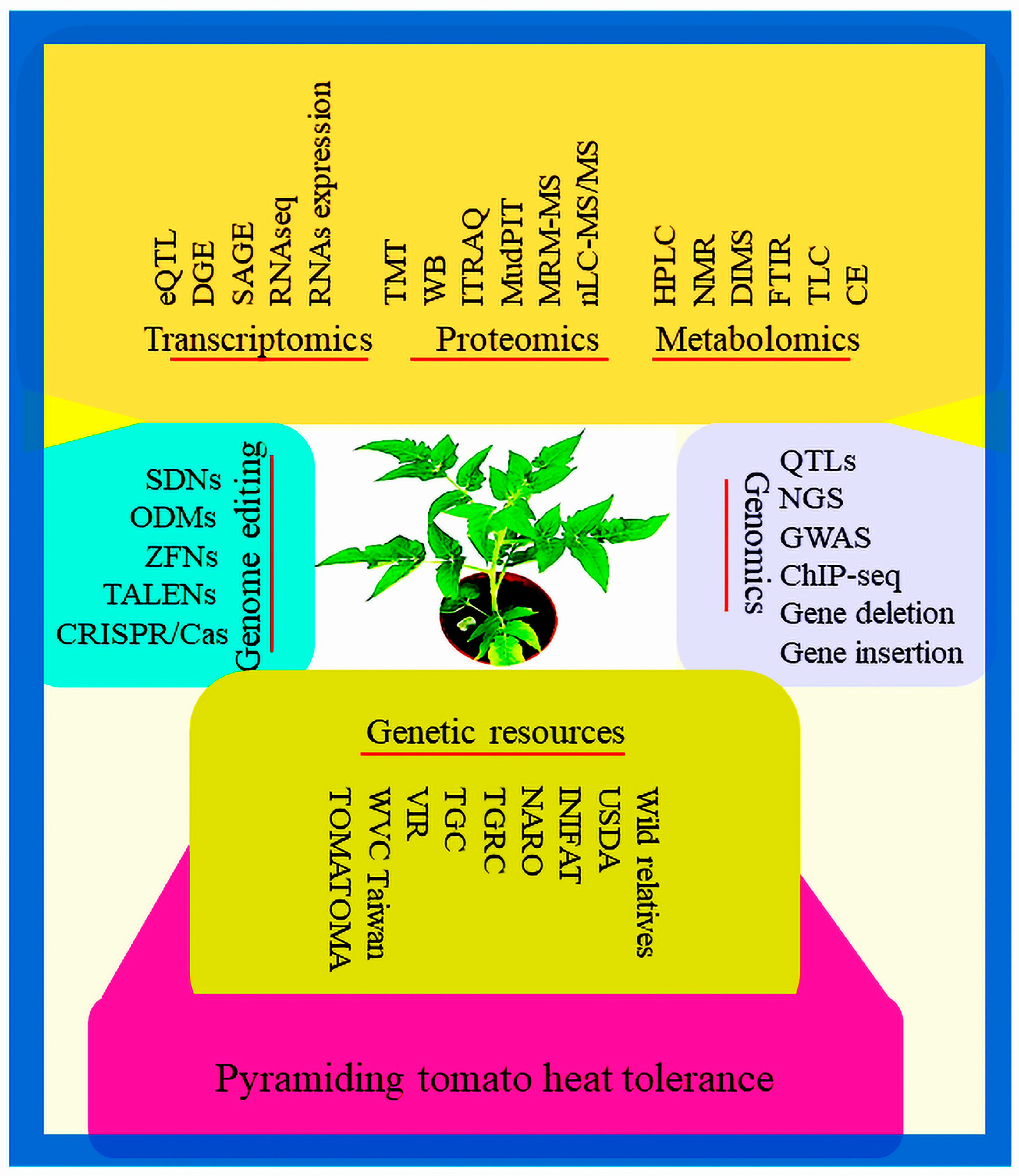 Metabolites 14 00283 g007 Metabolites 14 00283 g007