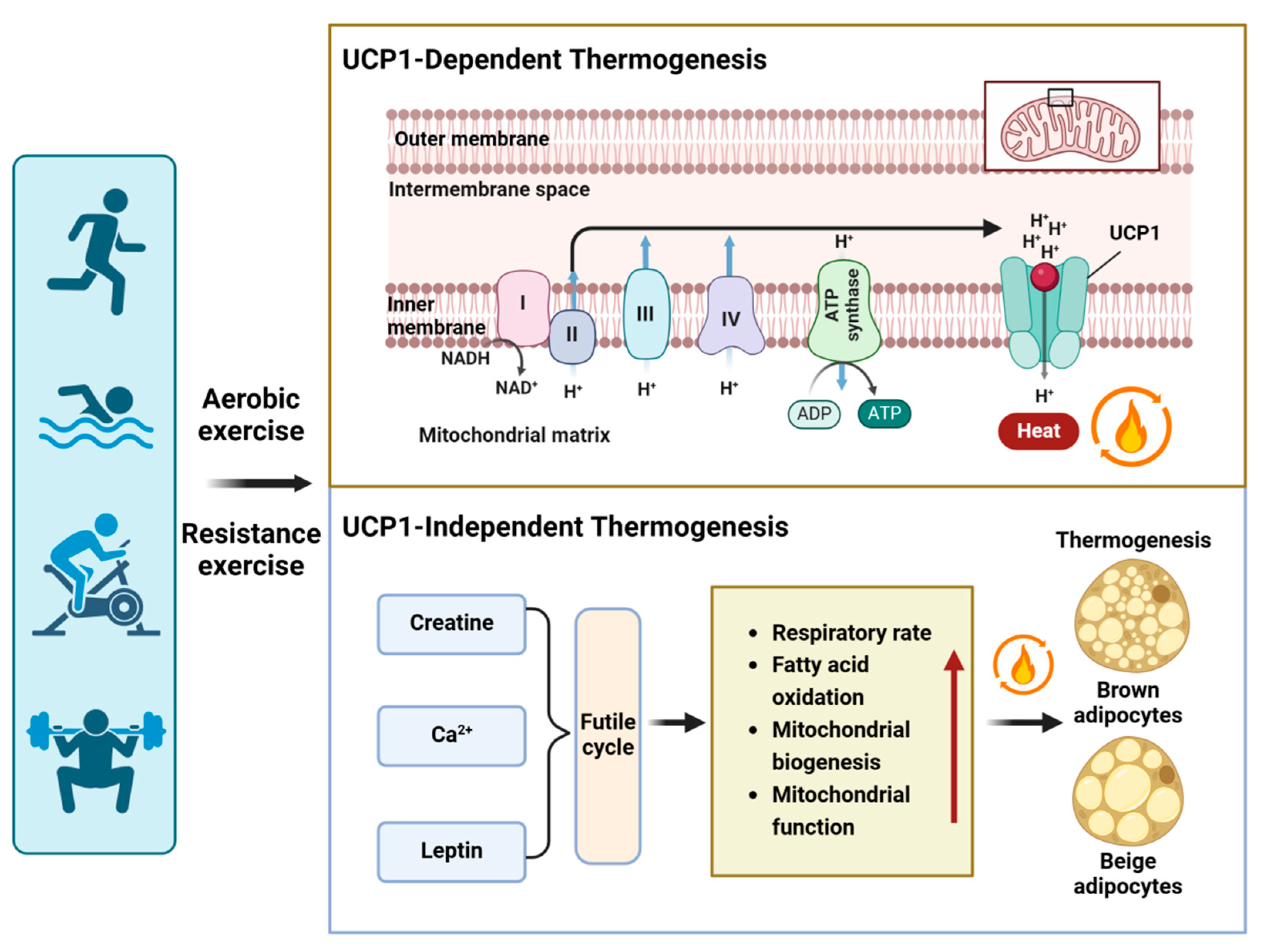 Metabolites 14 00287 g003