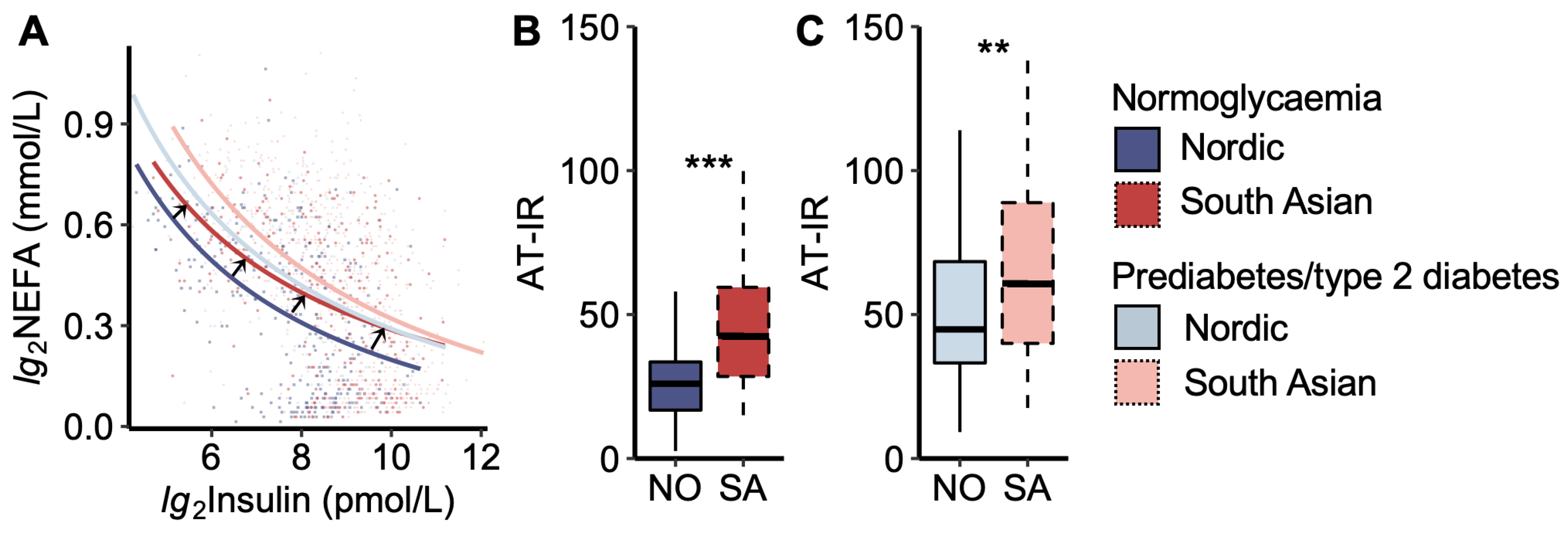 Metabolites 14 00288 g002