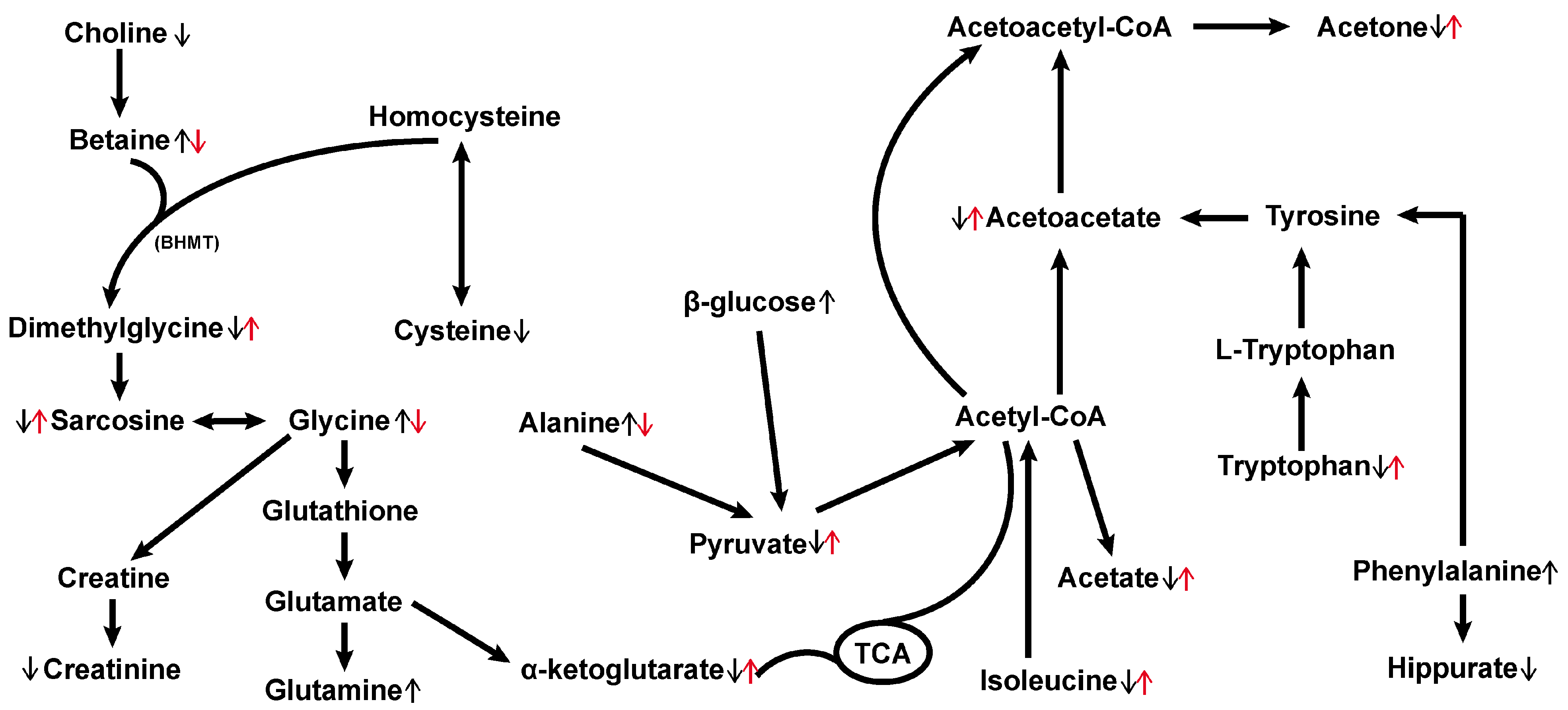 Metabolites 14 00304 g005