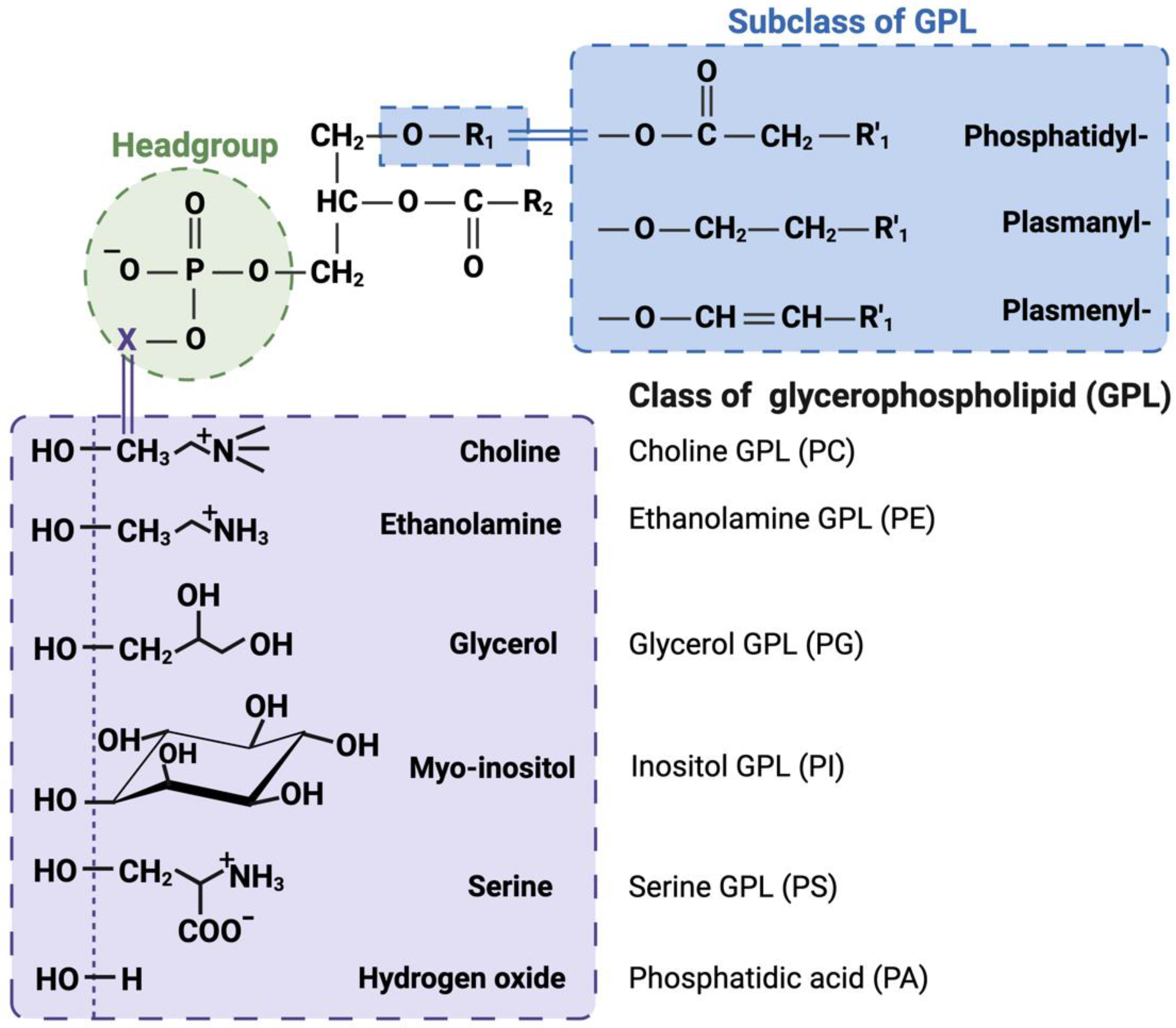 Metabolites 14 00312 g001 Metabolites 14 00312 g001