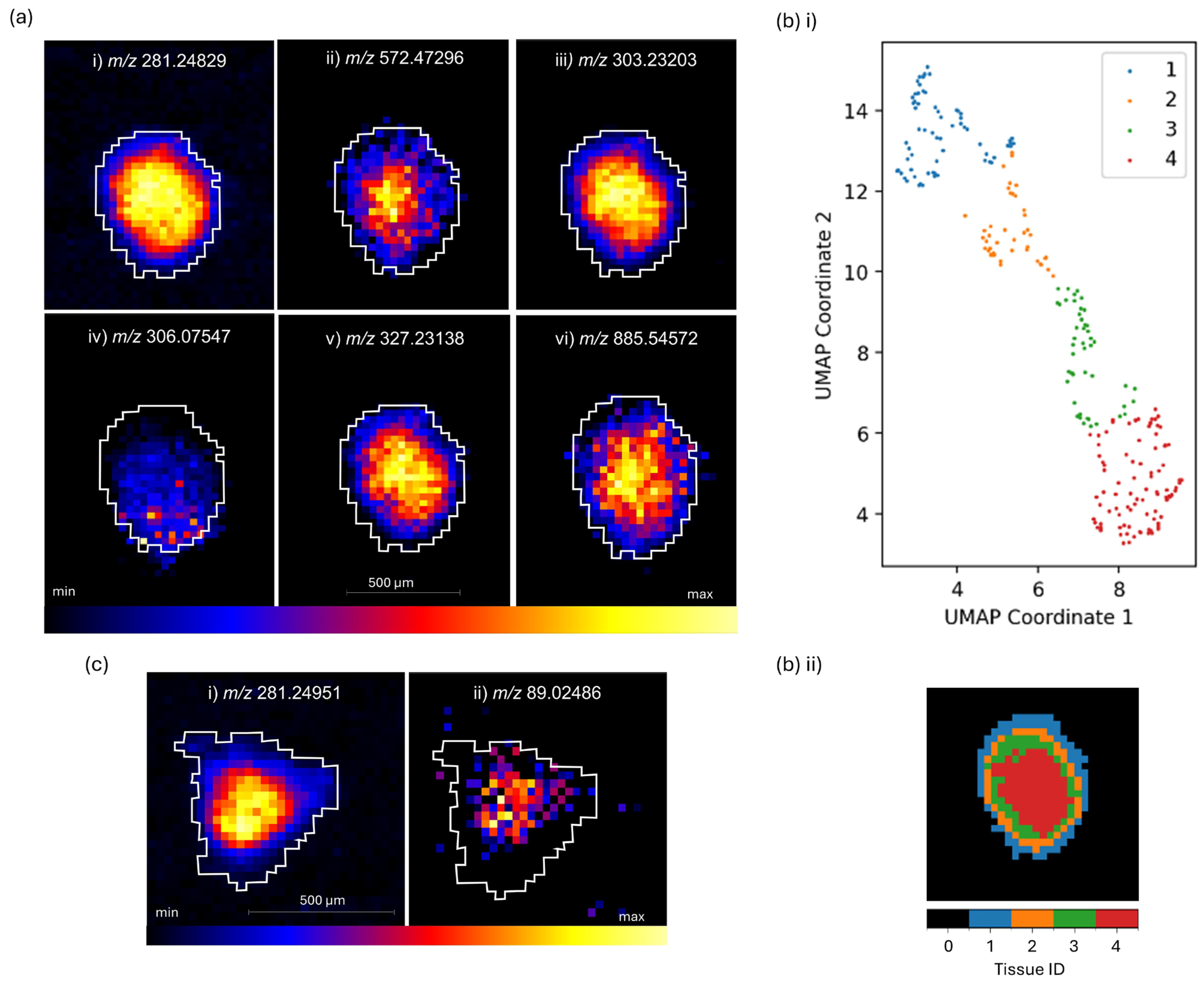 Metabolites 14 00315 g001