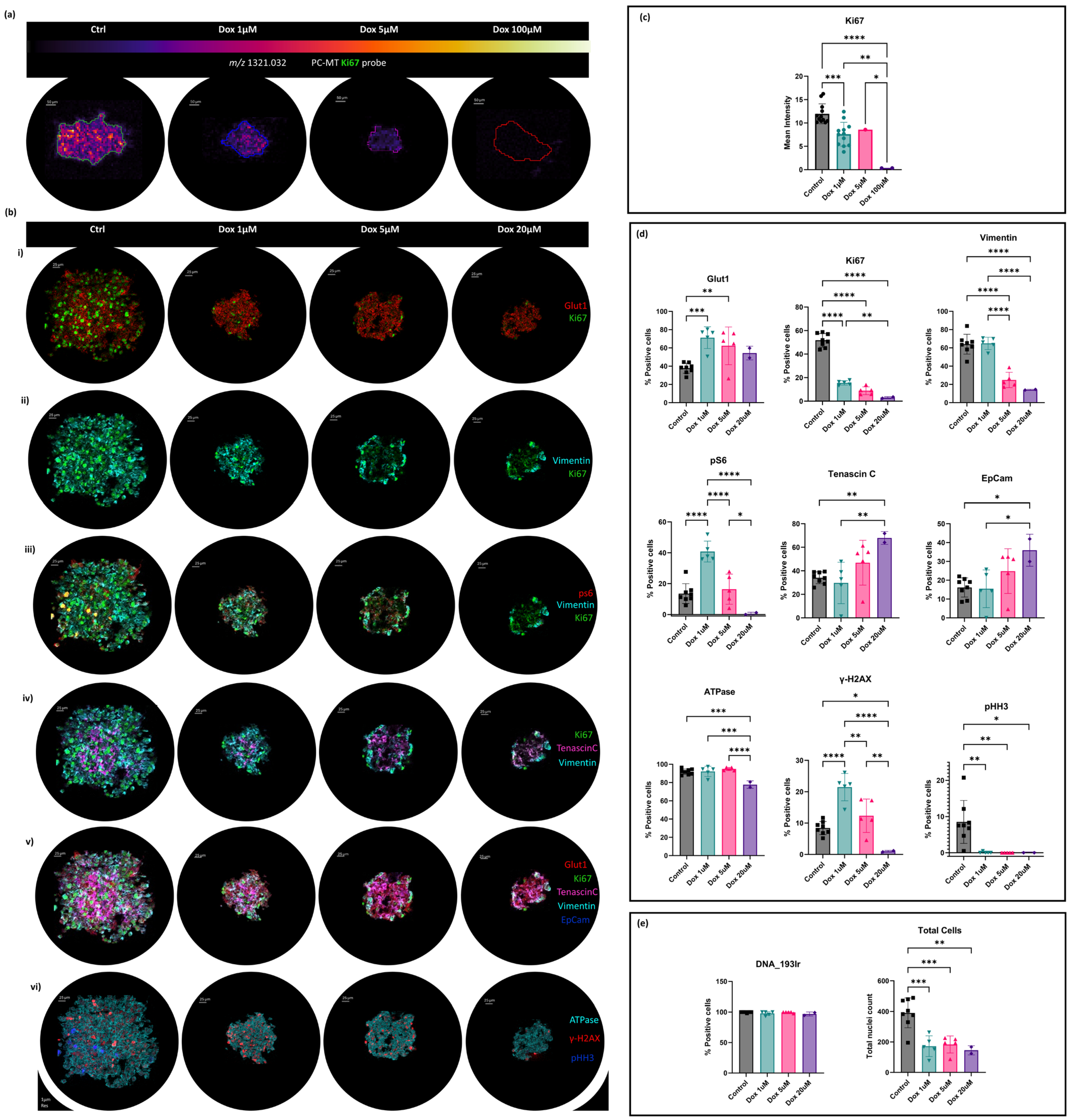 Metabolites 14 00315 g004