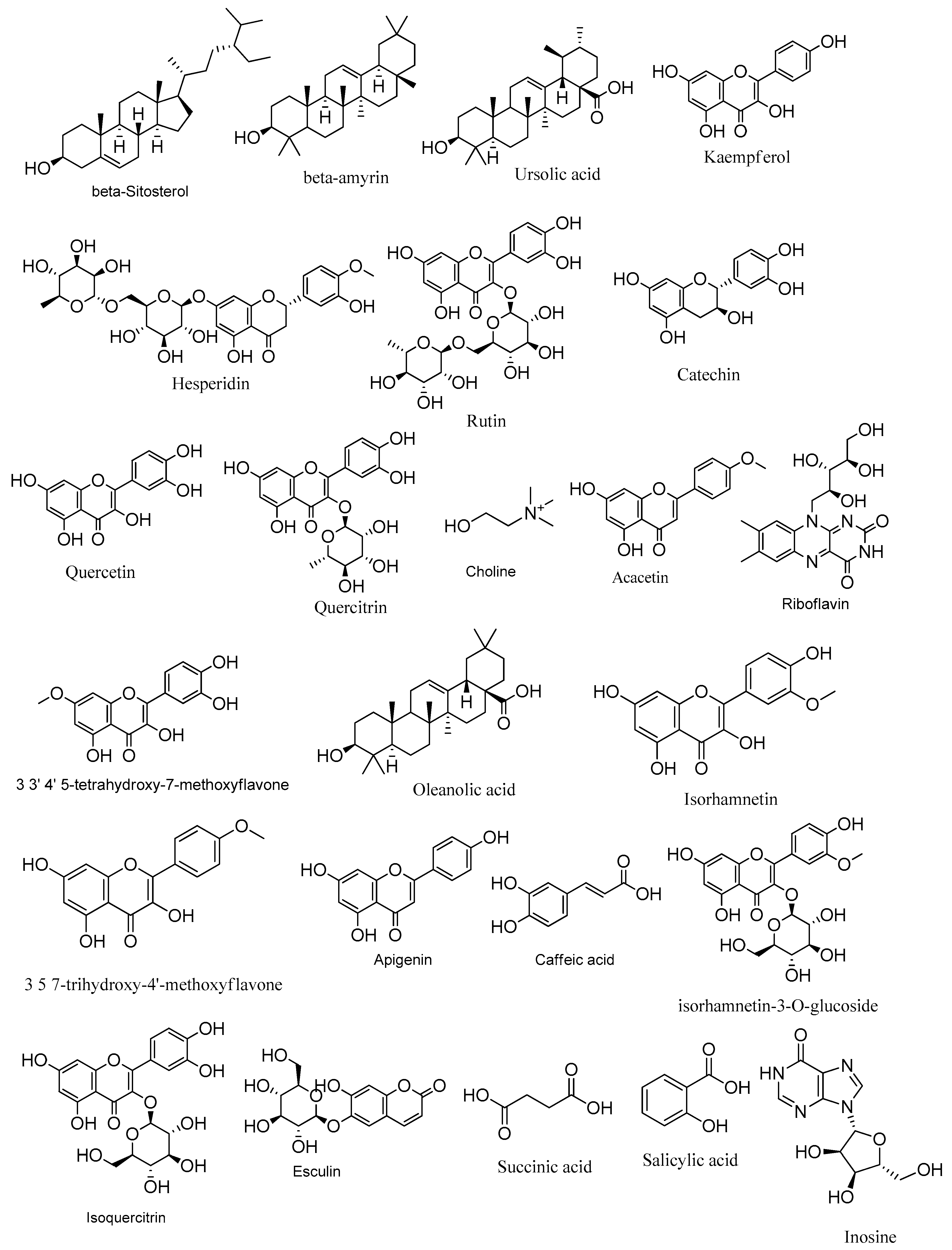 Metabolites 14 00316 g001