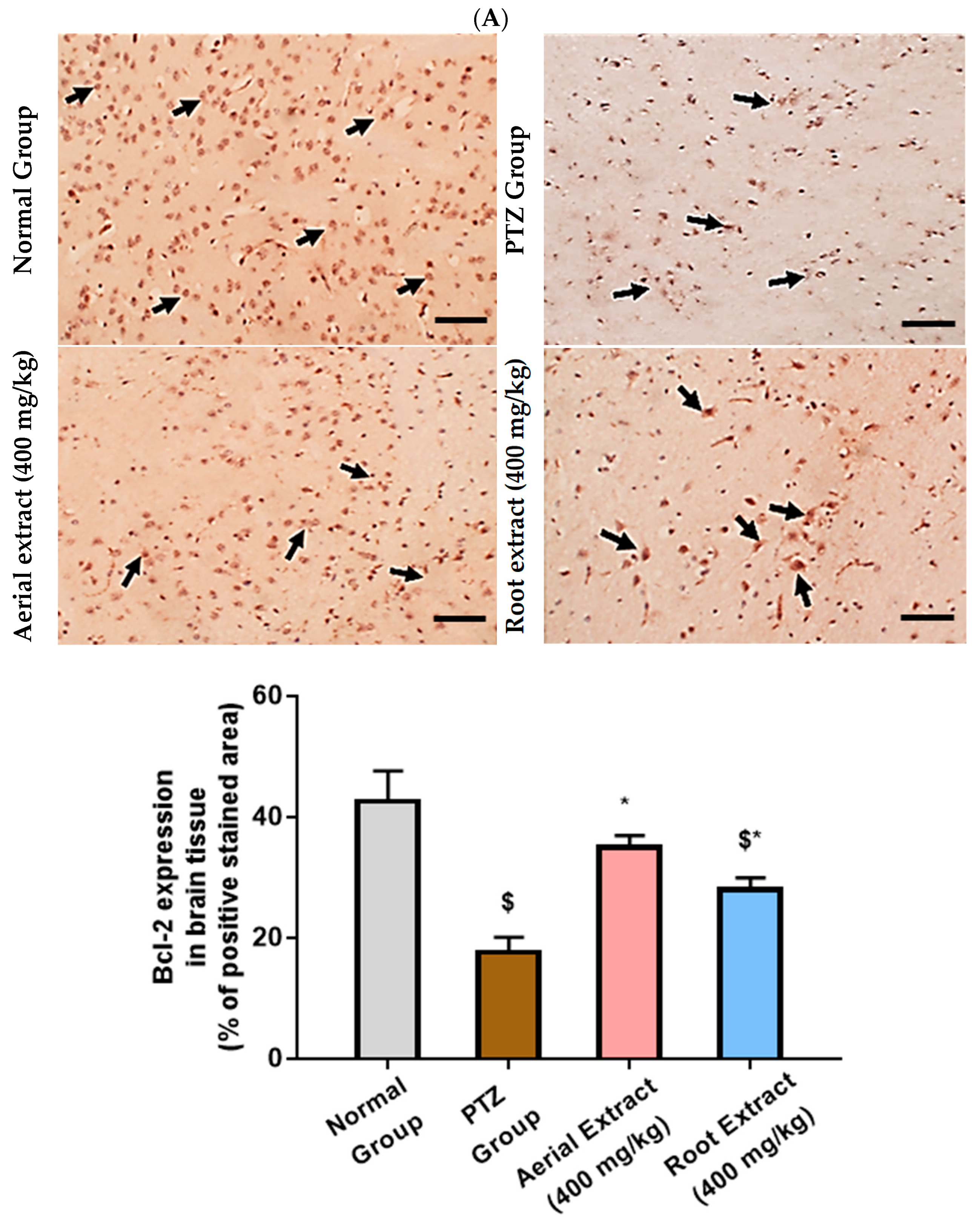 Metabolites 14 00316 g006a