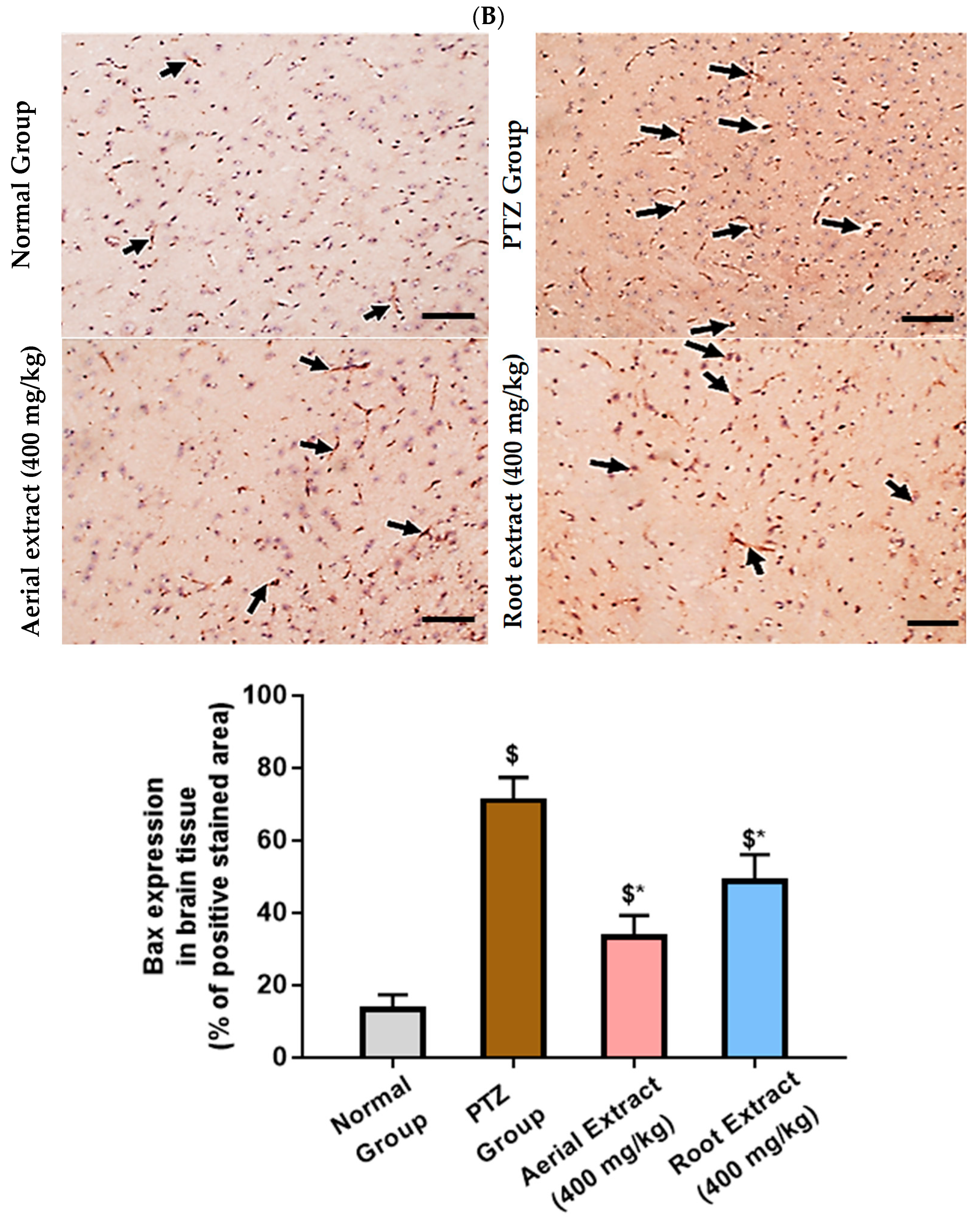 Metabolites 14 00316 g006b