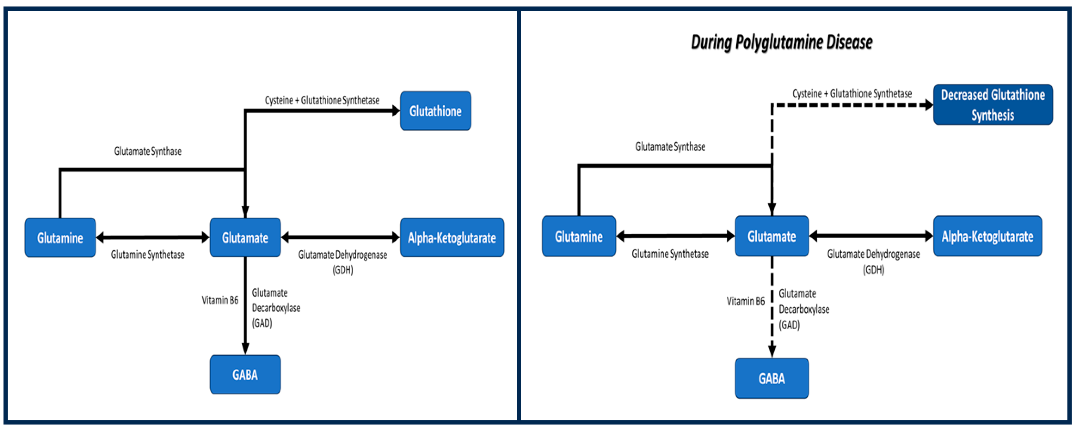 Metabolites 14 00320 g002
