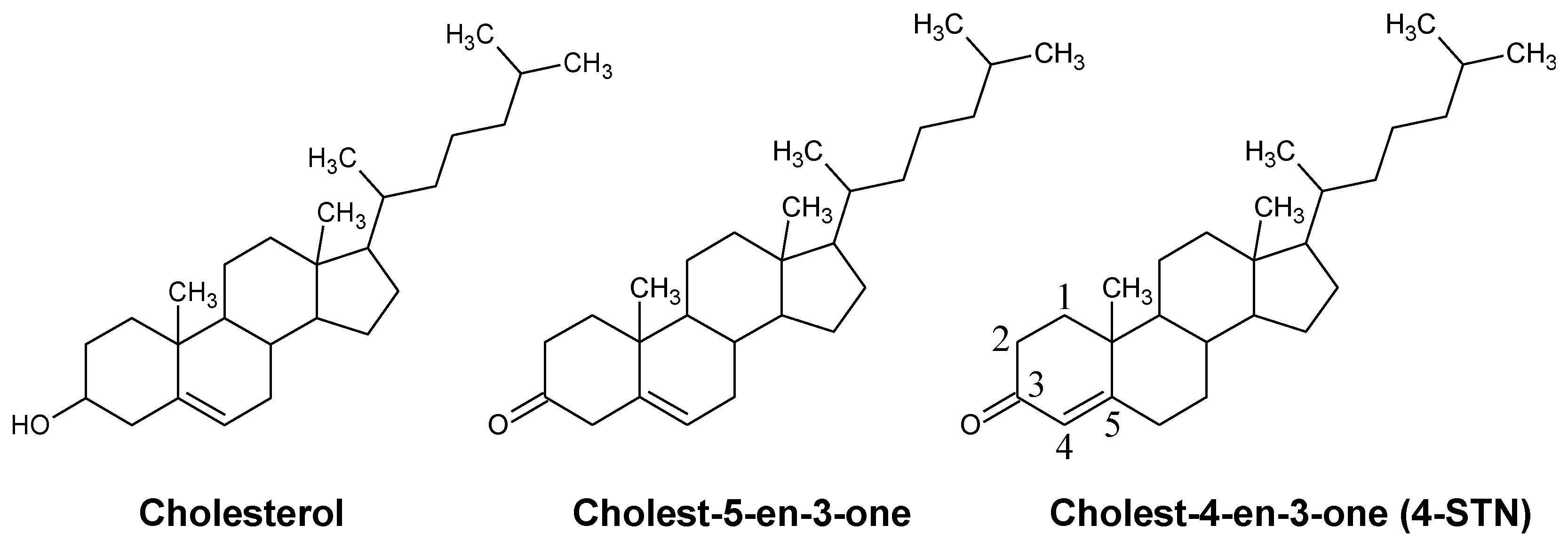 Metabolites 14 00321 g001