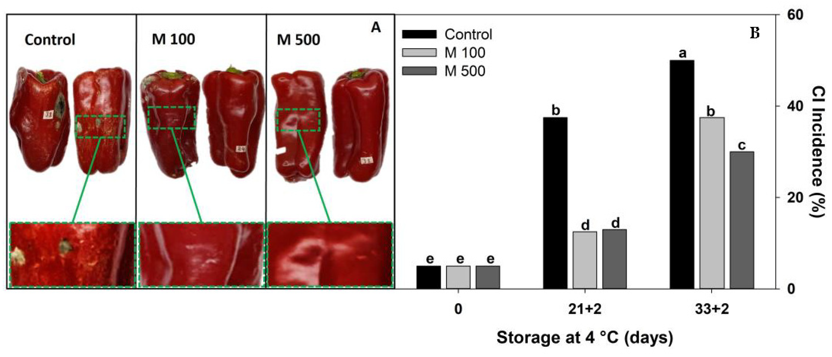 Metabolites 14 00330 g001