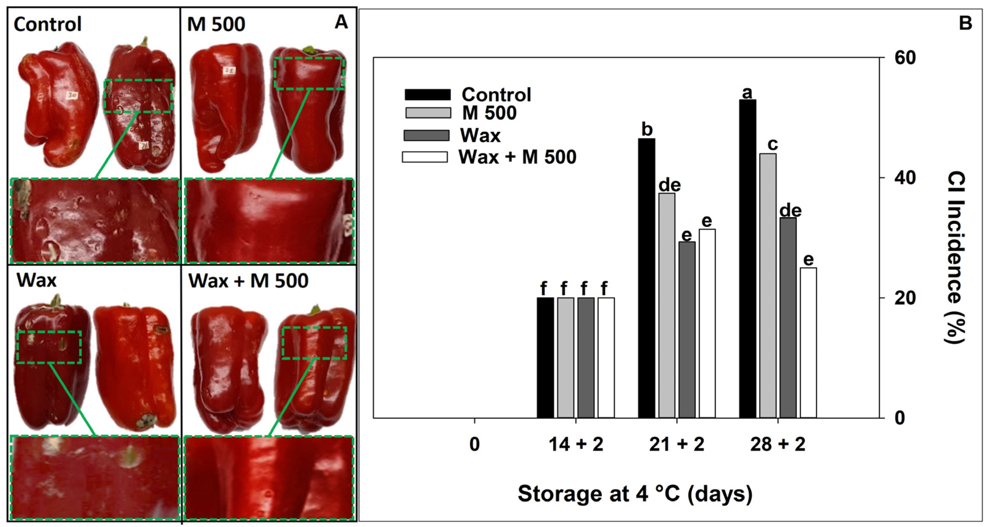 Metabolites 14 00330 g004