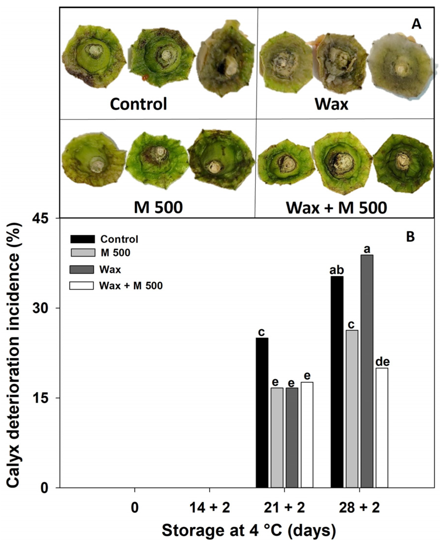 Metabolites 14 00330 g005